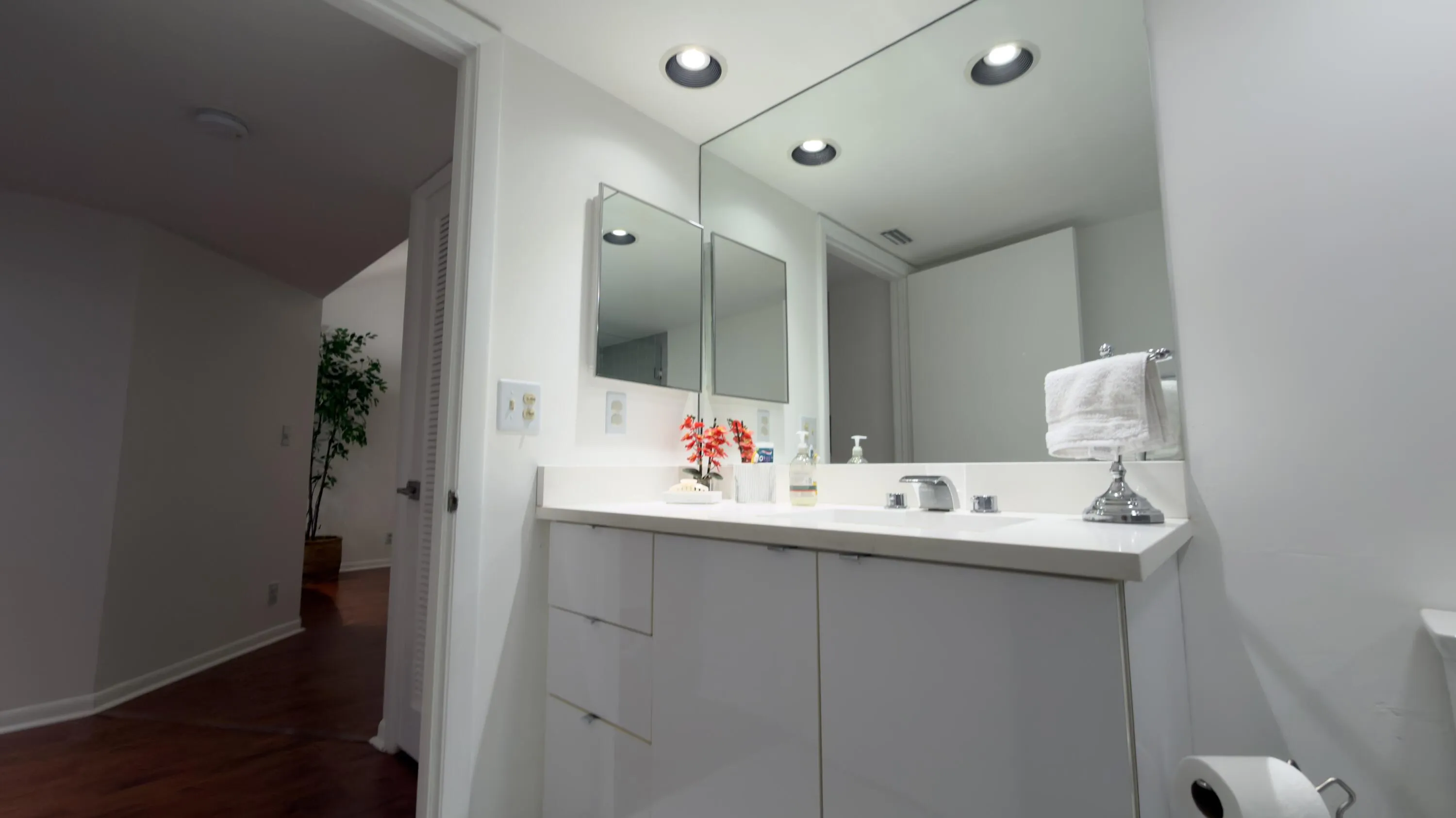 Guest bathroom view 2