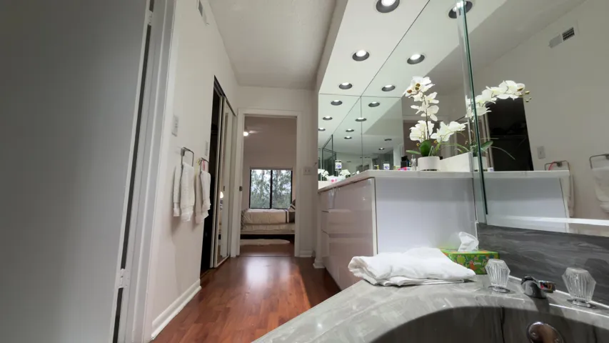 Master bathroom, another view