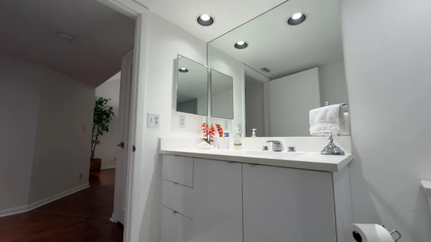 Guest bathroom view 2