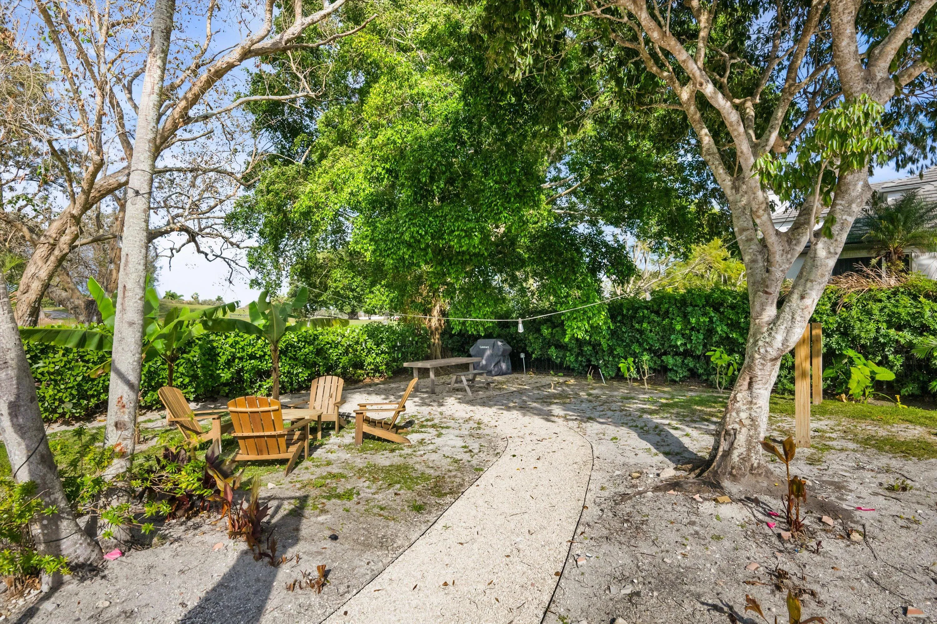 Backyard