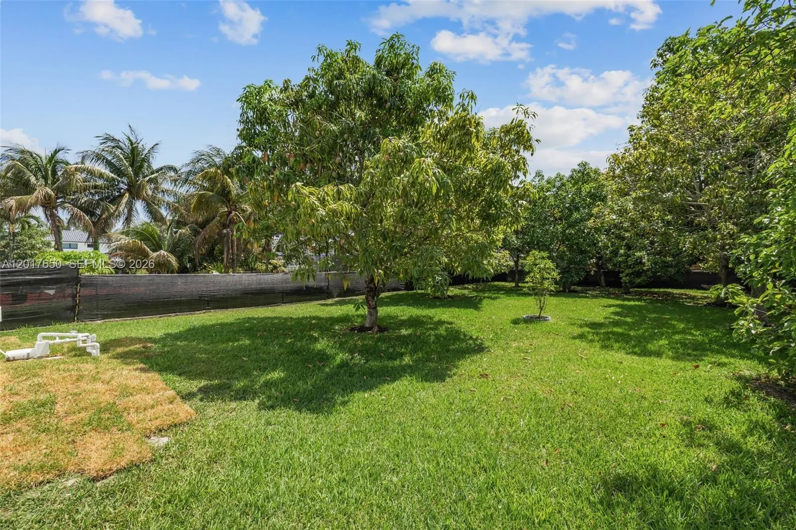 Property photo 56