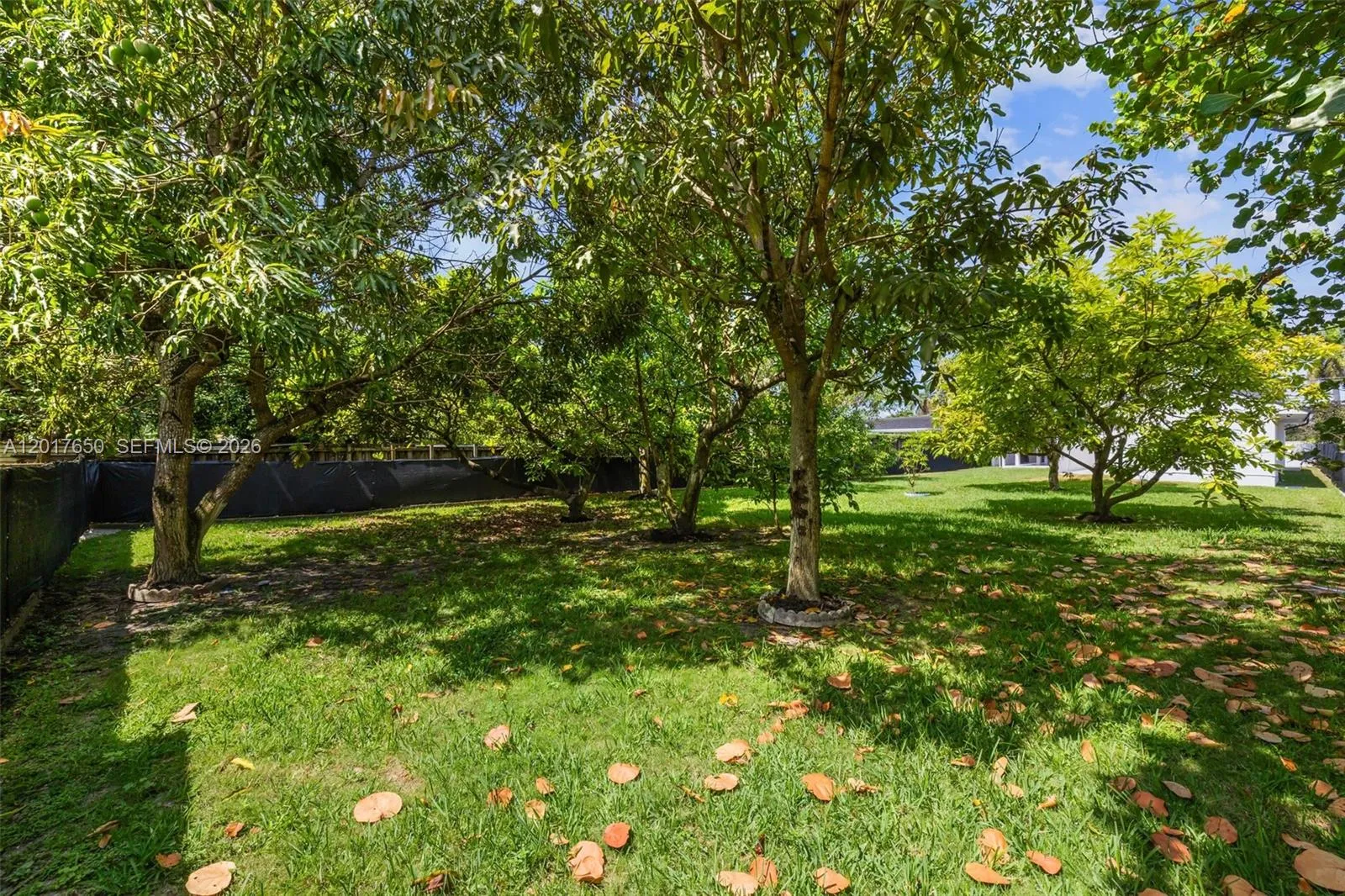 Property photo 58