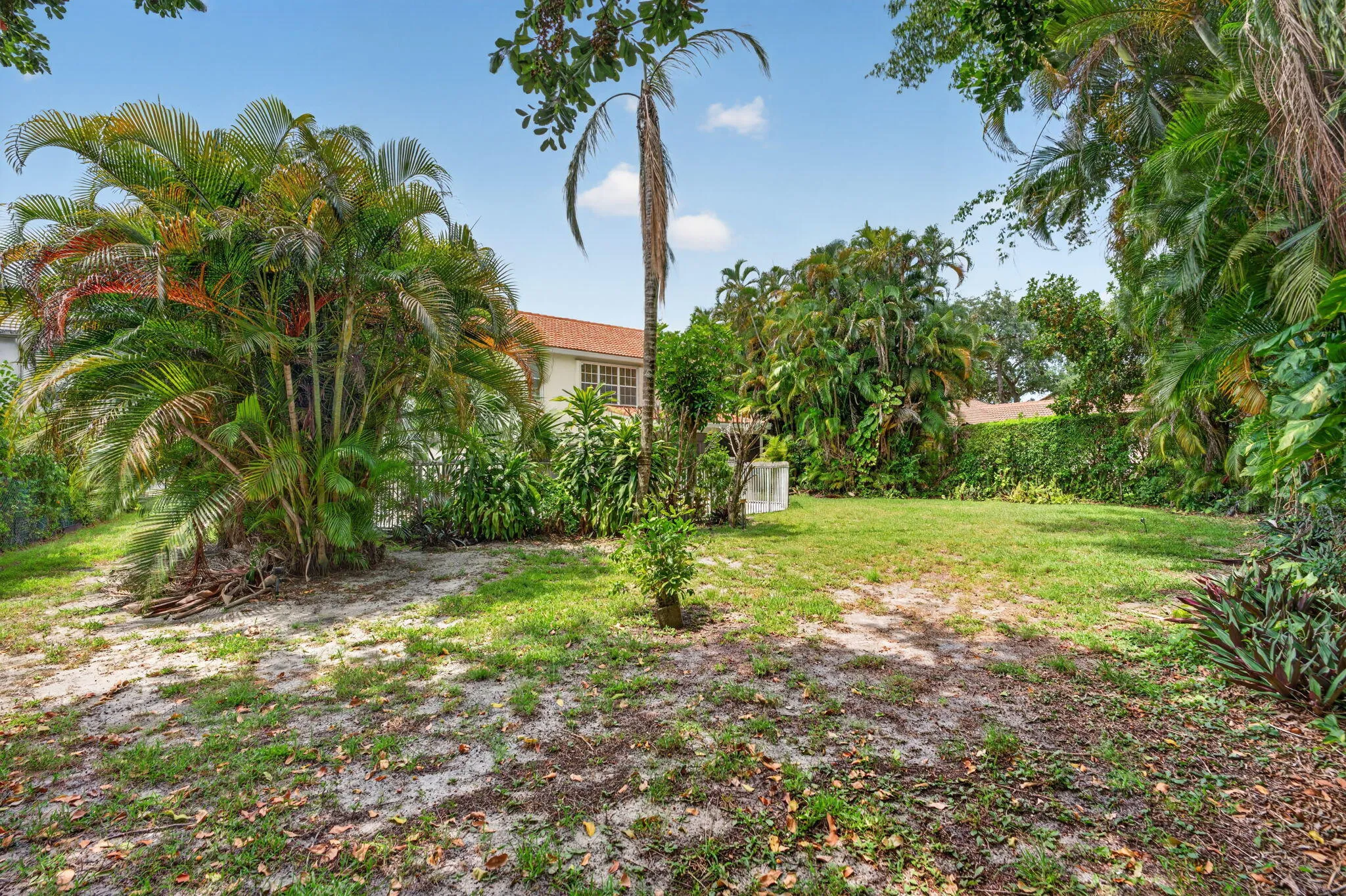 58-web-or-mls-DSC04094
