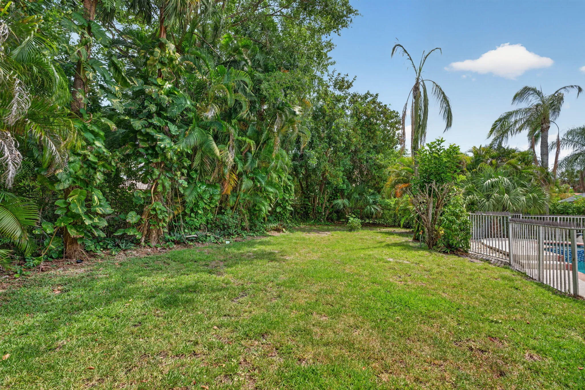 61-web-or-mls-DSC04107