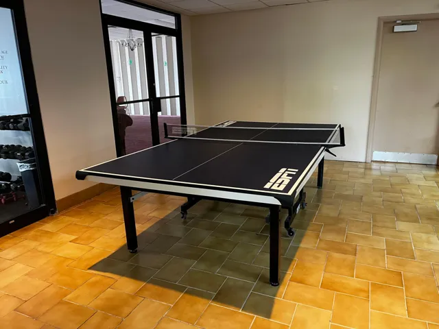 Ping Pong