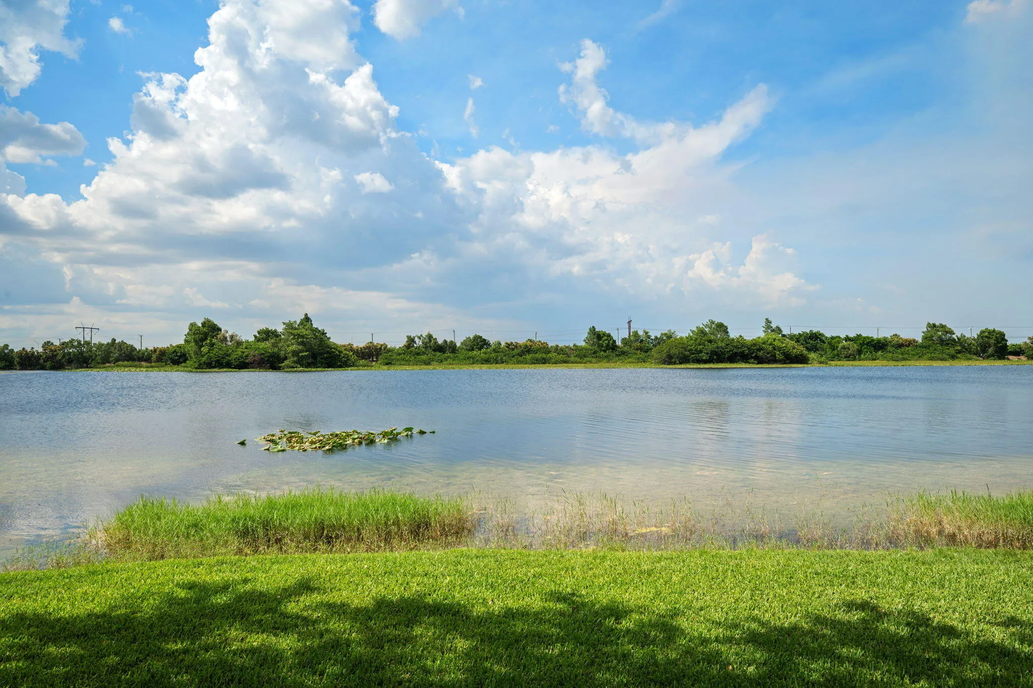Property photo 37