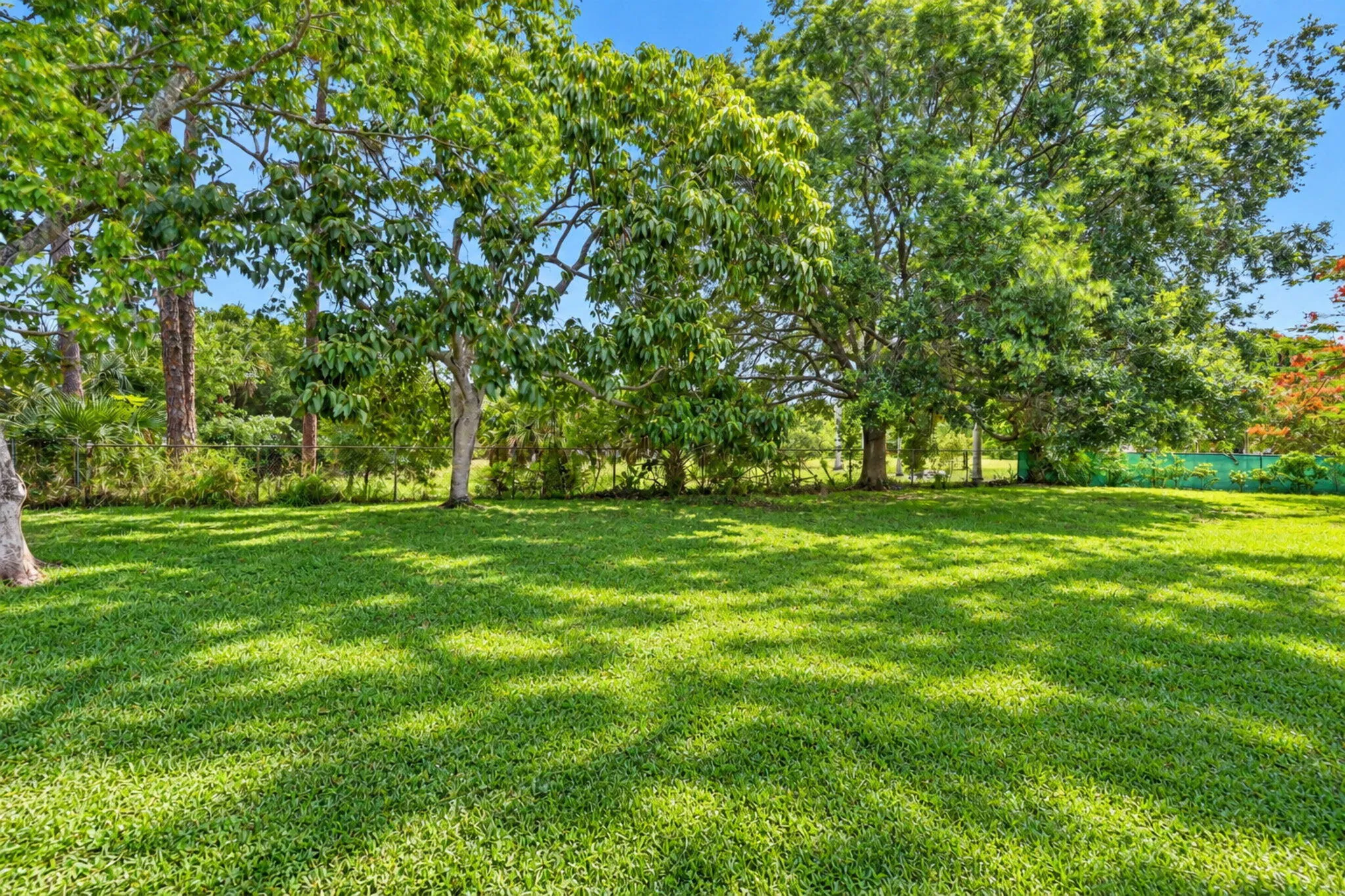 Property photo 50