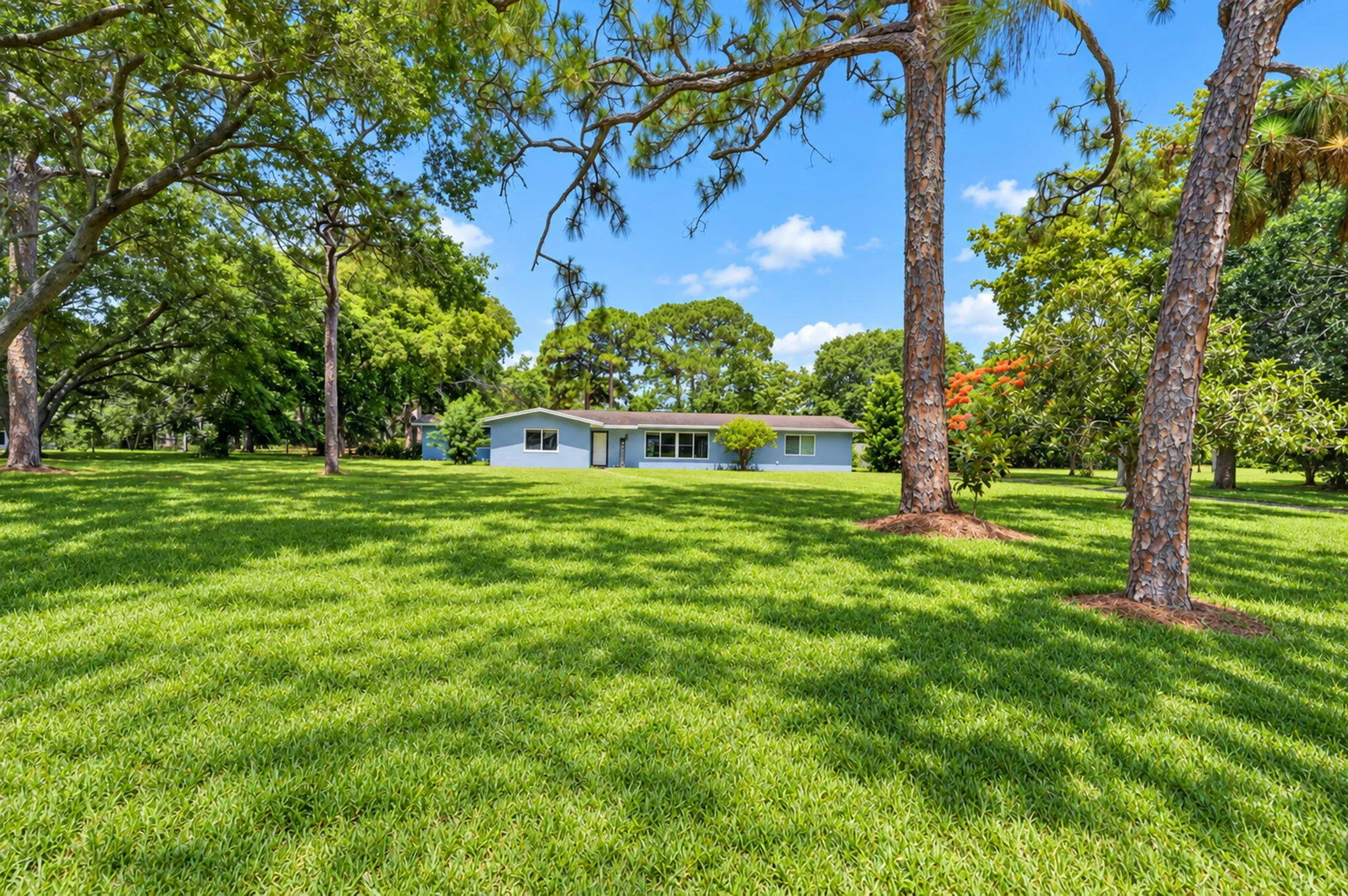 Property photo 42