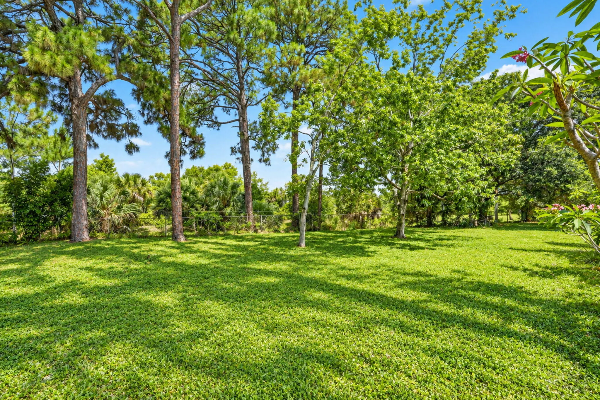Property photo 54