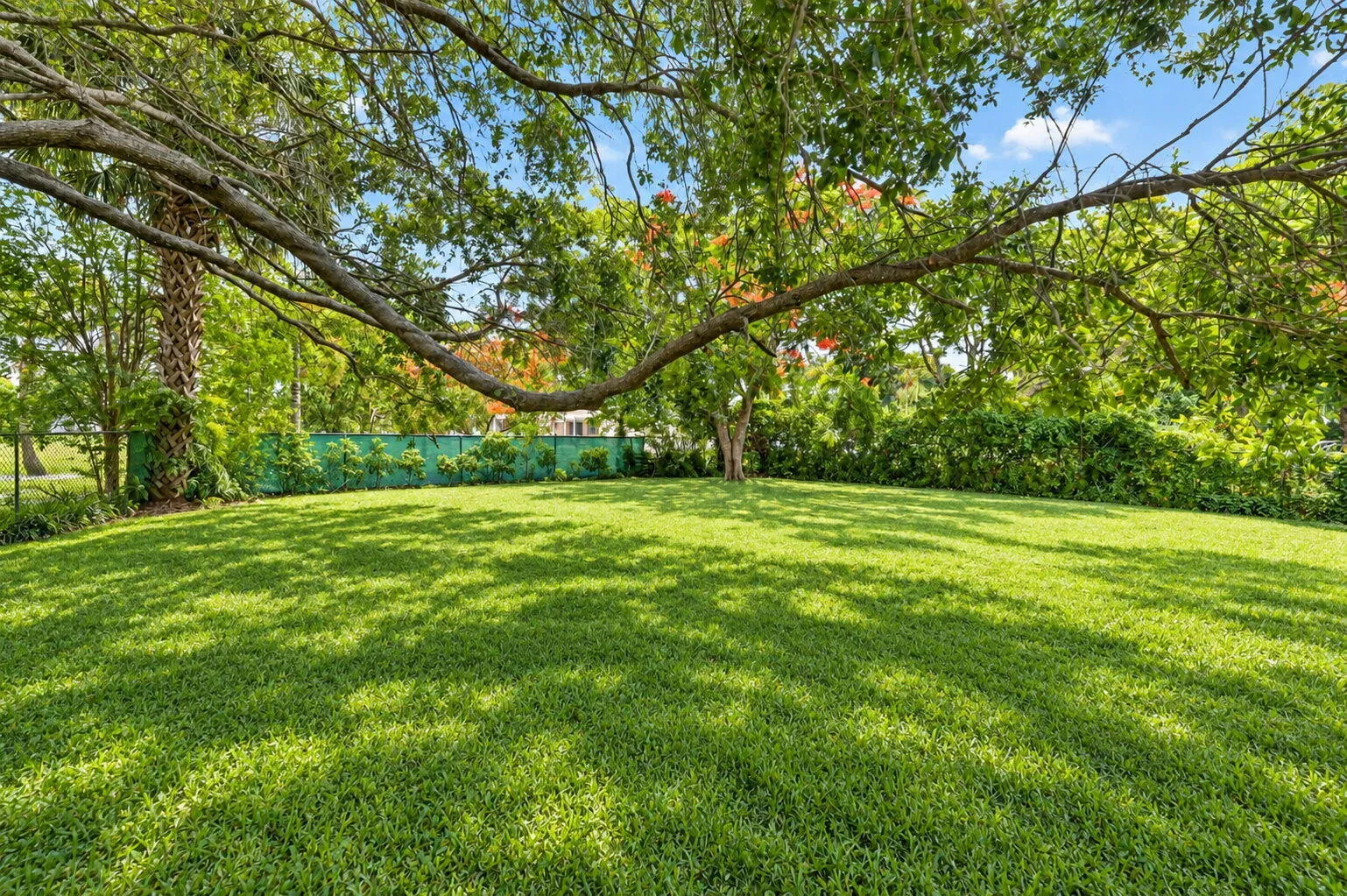 Property photo 62