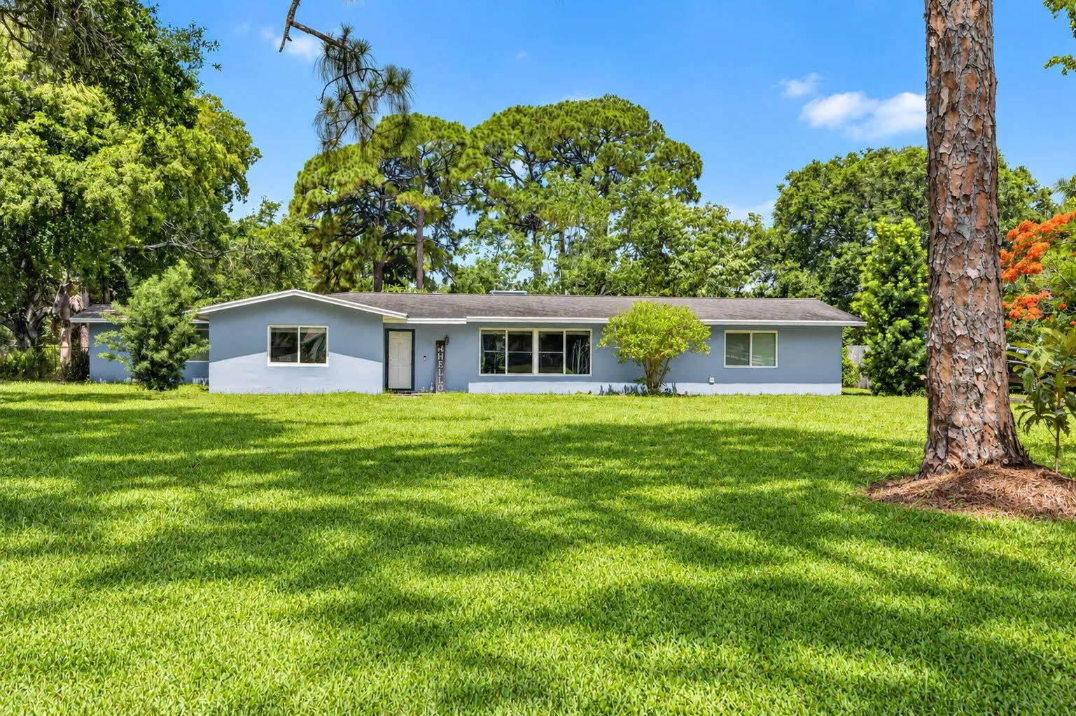 Property photo 41