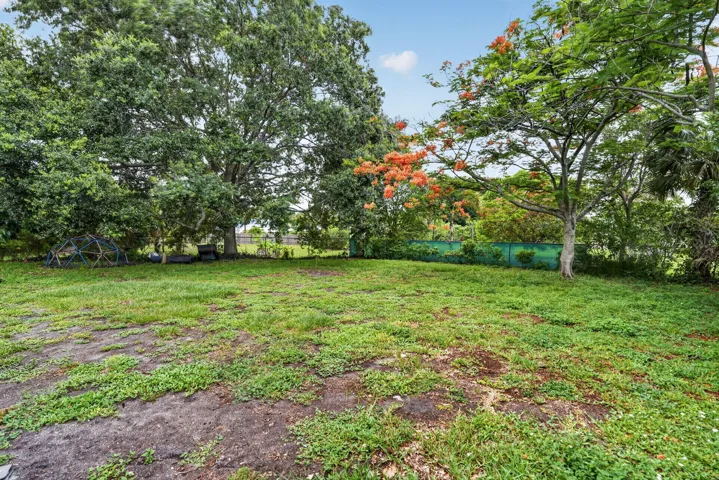 51-web-or-mls-_MLP6192