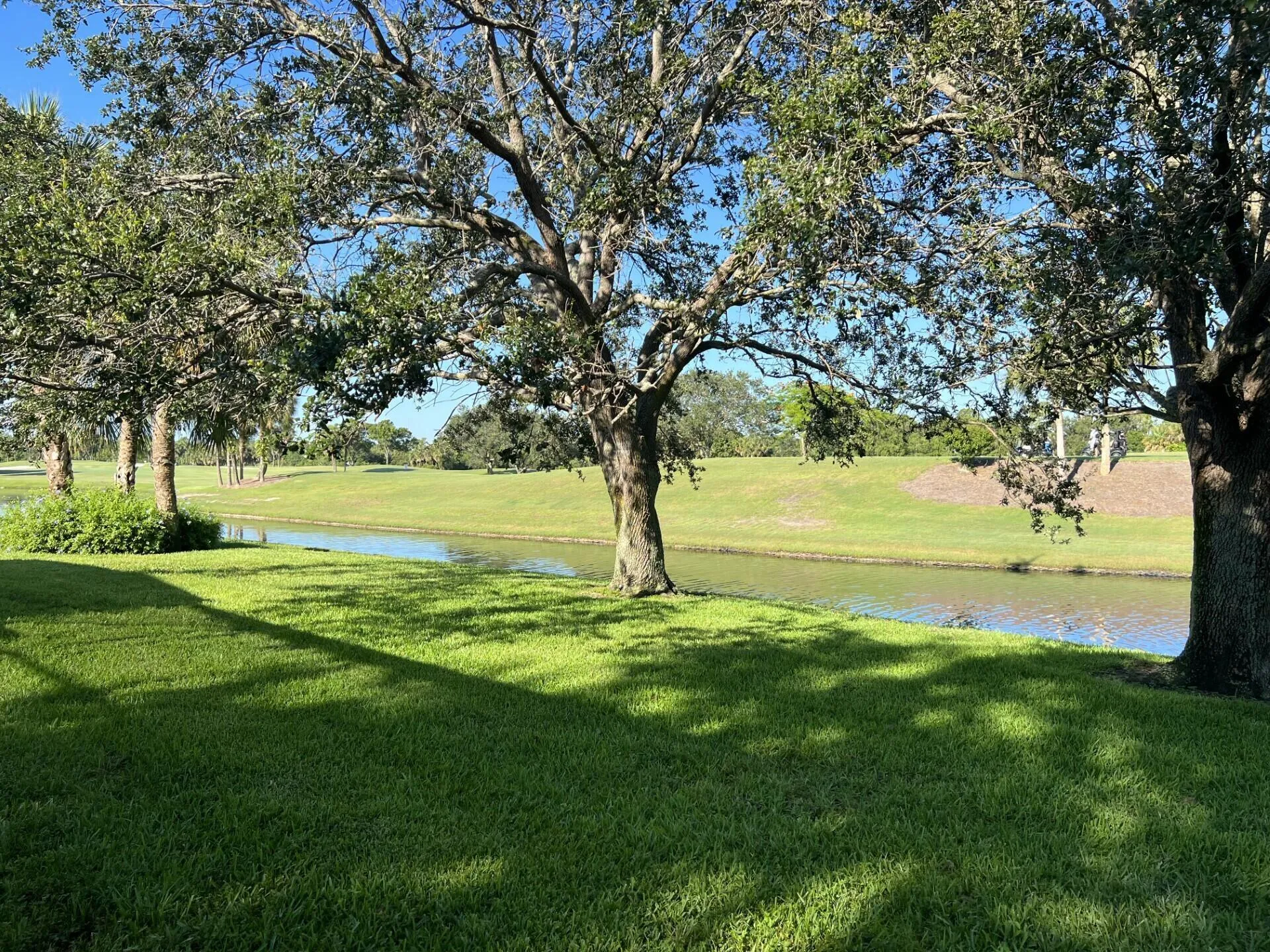 Beautiful Landscape