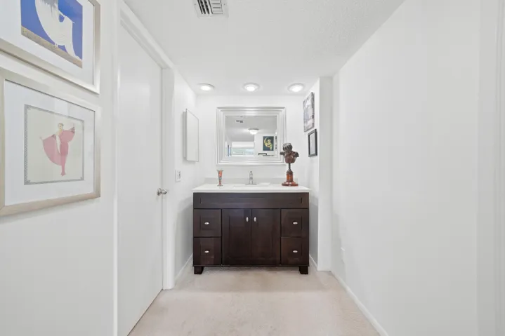Primary vanity