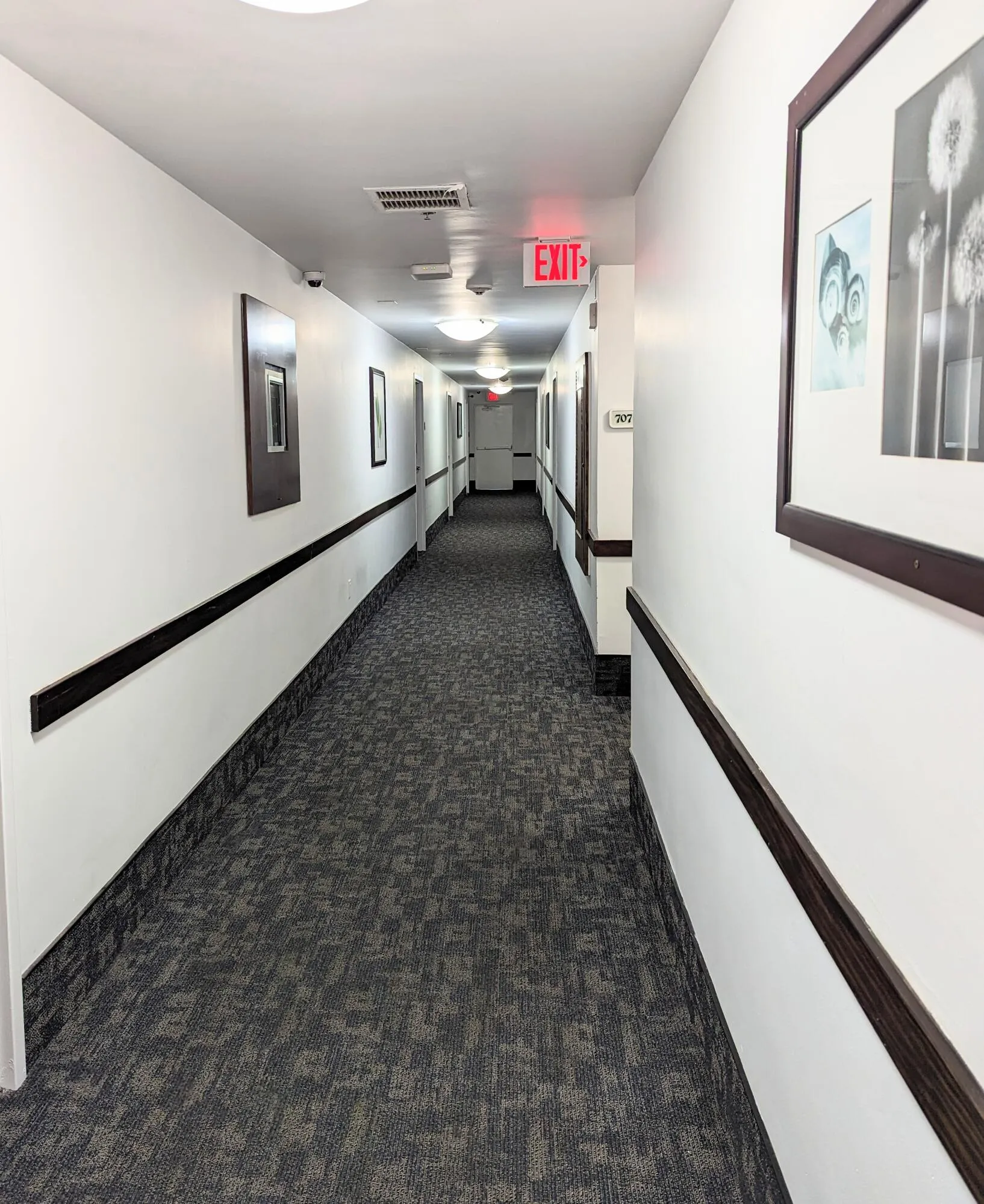 PXL_20231101_172955608