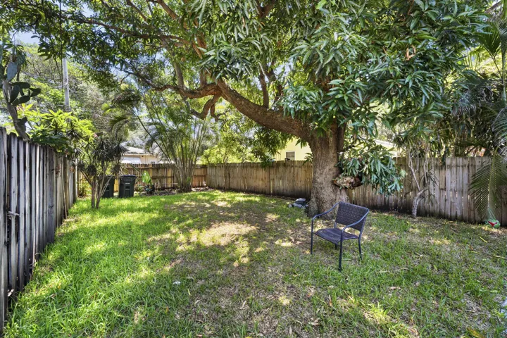 Backyard