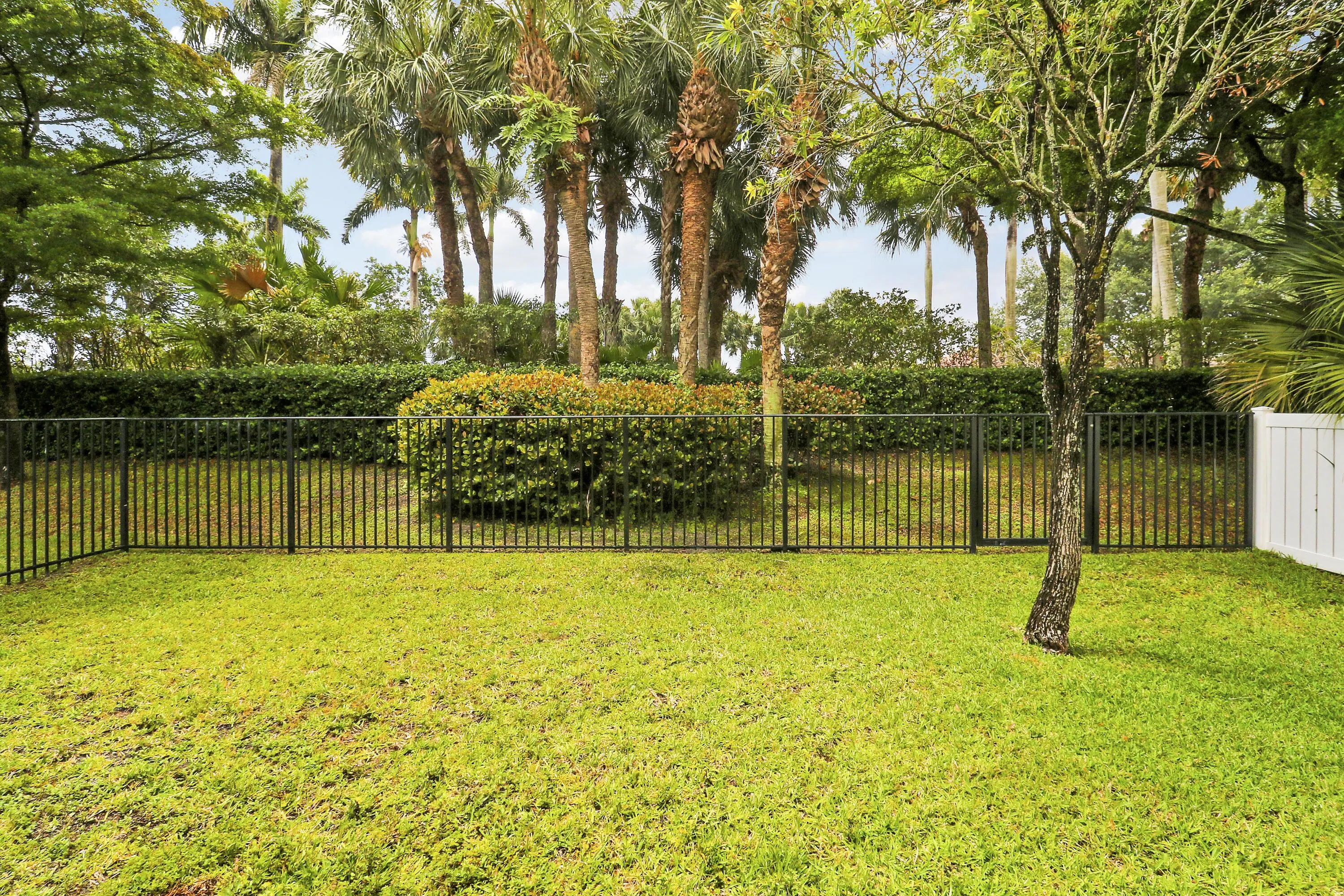 yard