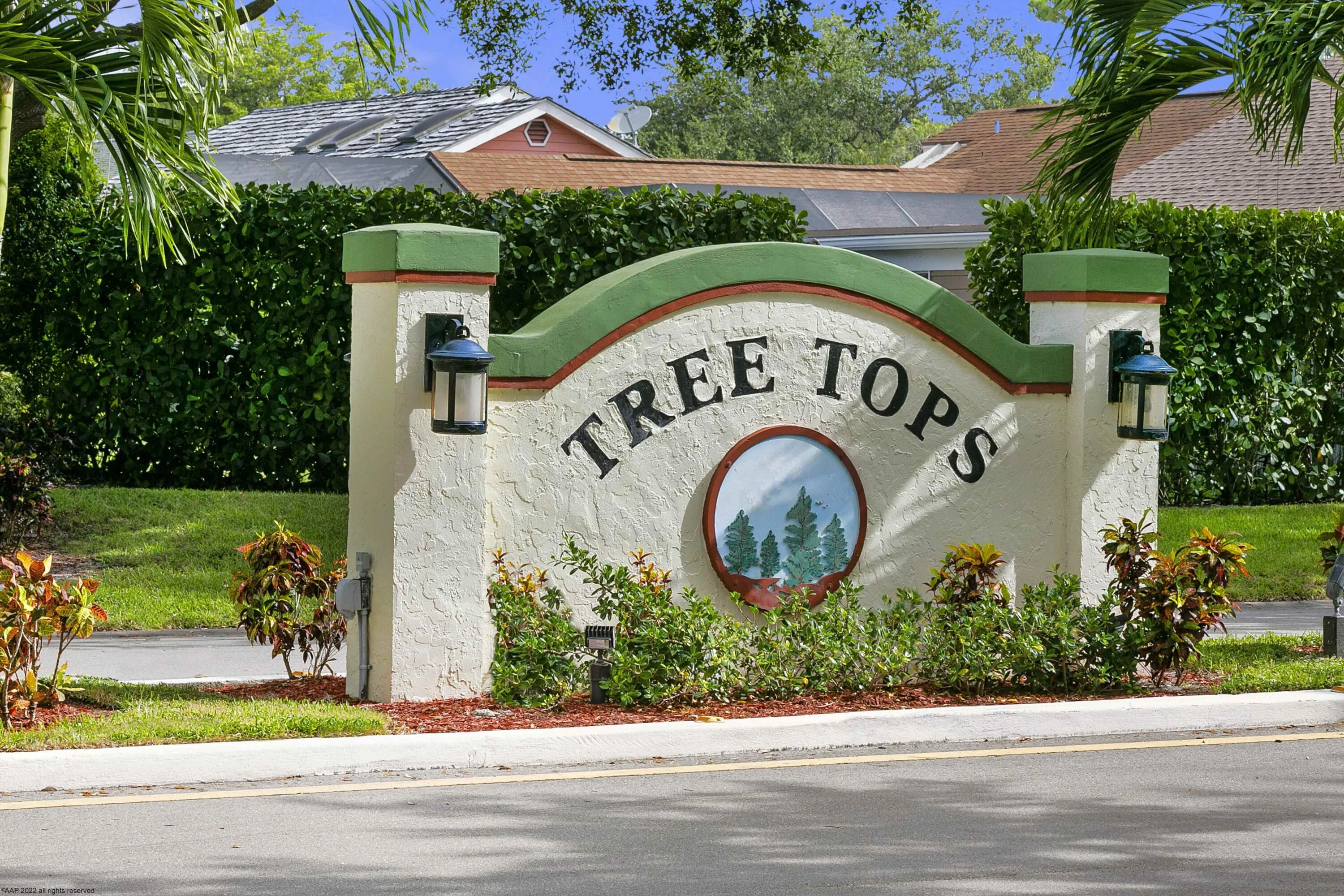 Tree Tops
