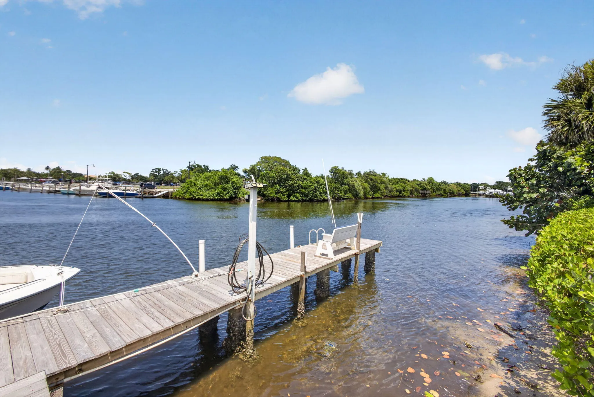 40-web-or-mls-5D1A4542