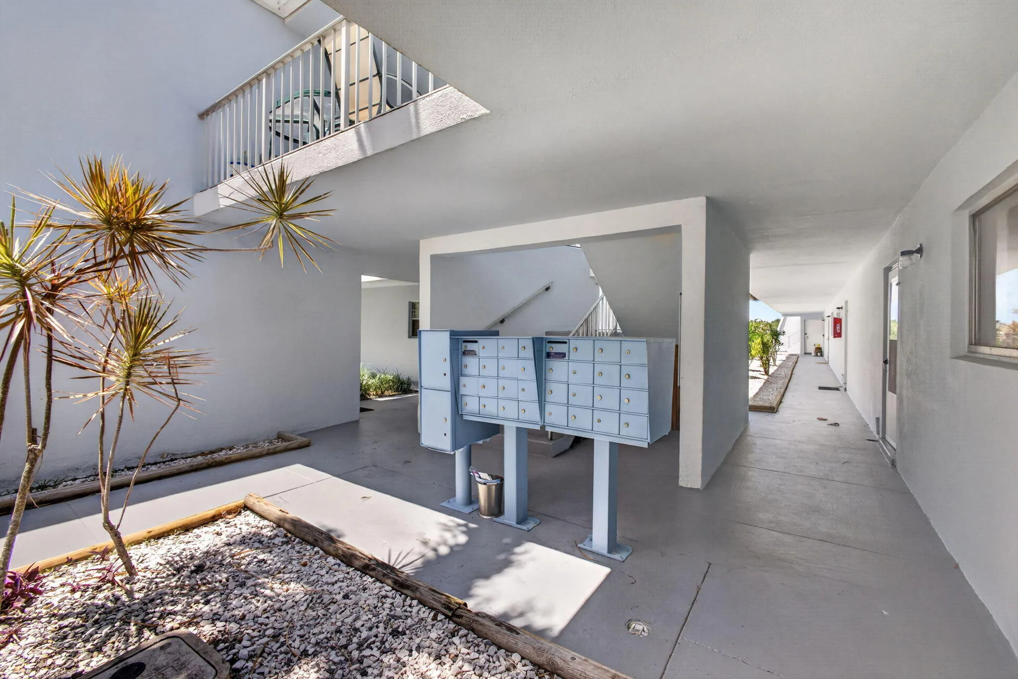 29-web-or-mls-5D1A4490