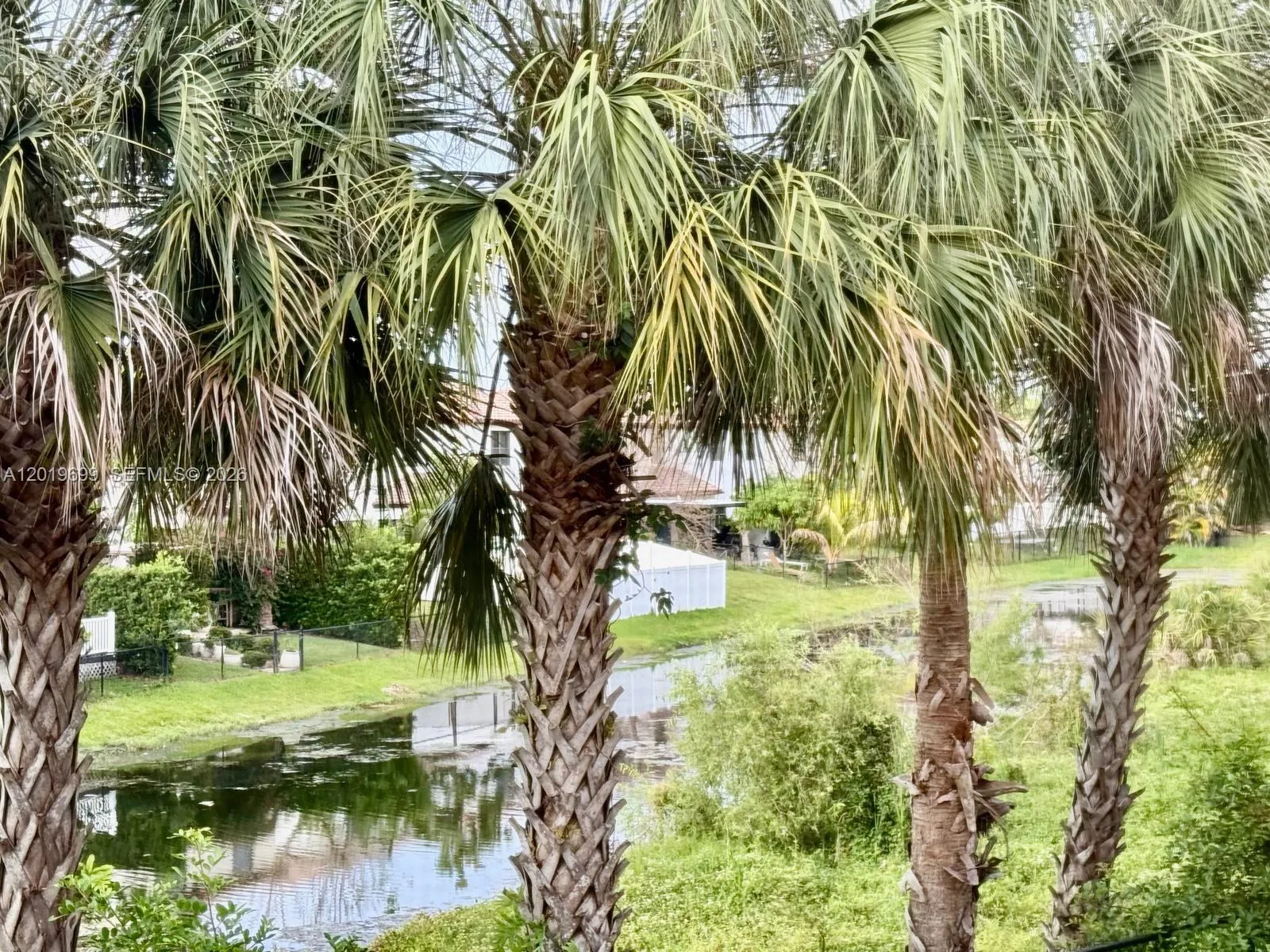 Screened Balcony View