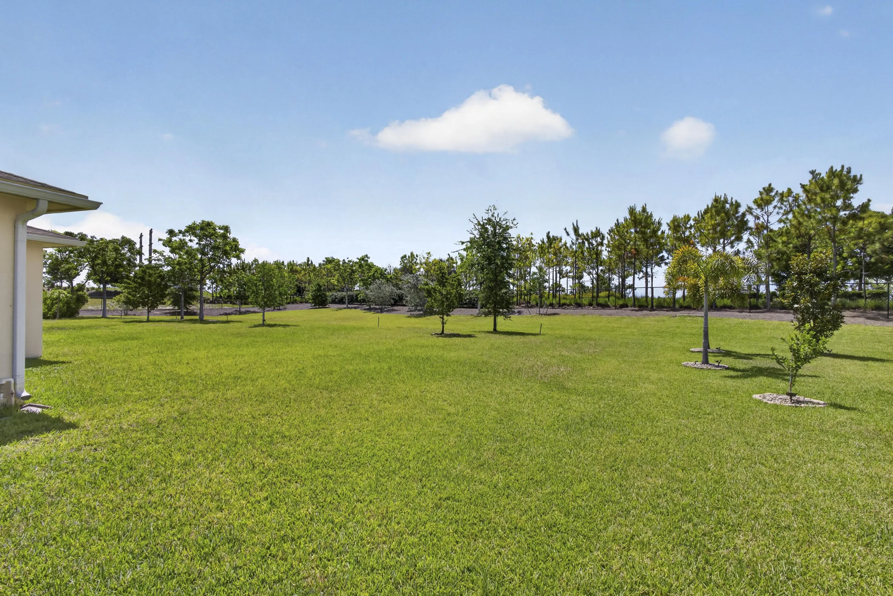 Side Yard View