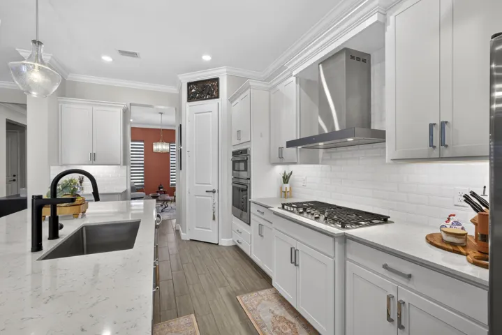 Kitchen Sink and Gas Cooktop