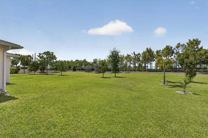 Side Yard View
