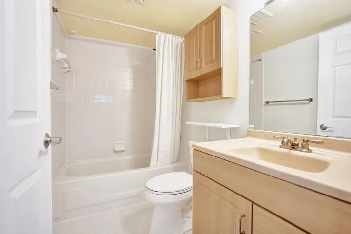 Primary Suite Bath
