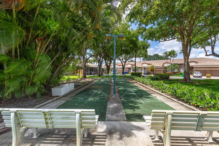 Shuffleboard