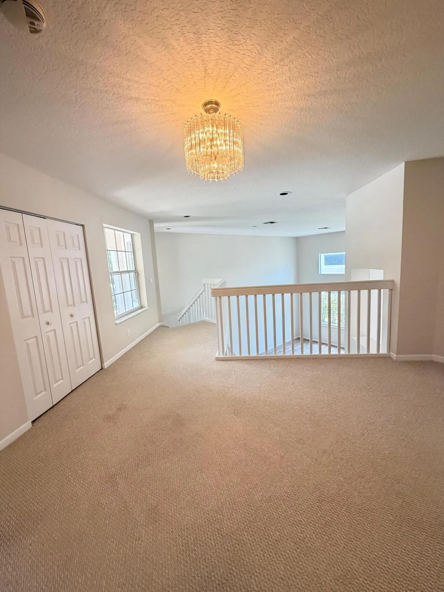 IMG_1917