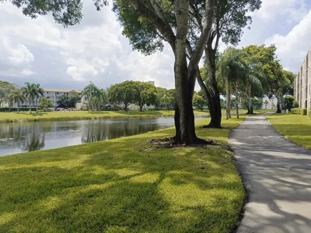 Green Surroundings