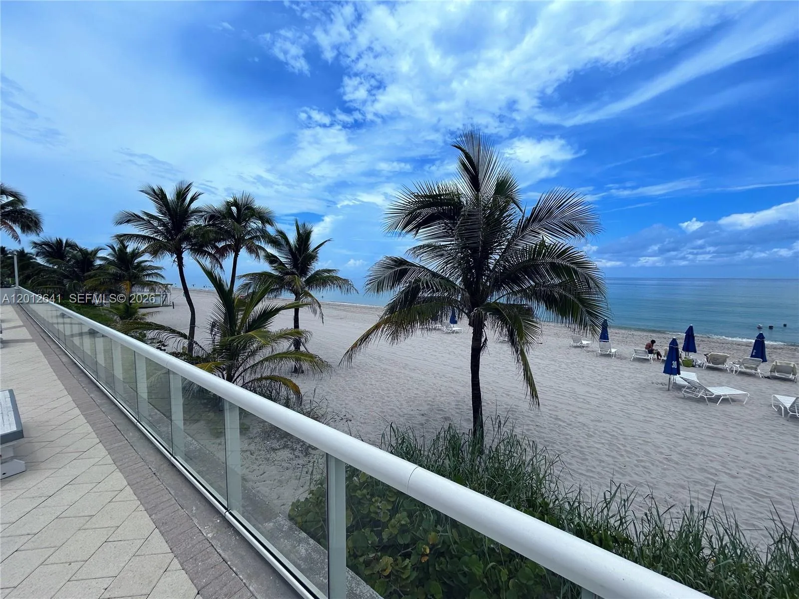 VIEWS LOOKING NORTH