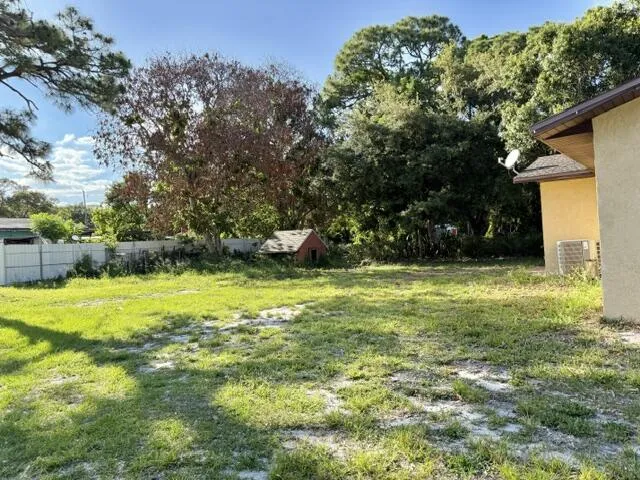 Backyard