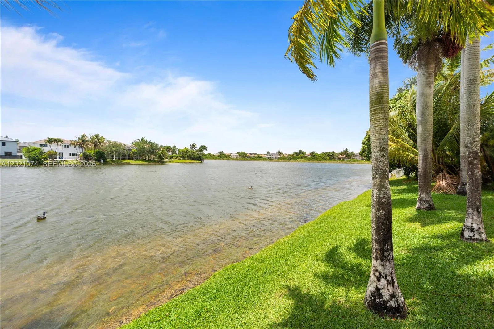 Property photo 65
