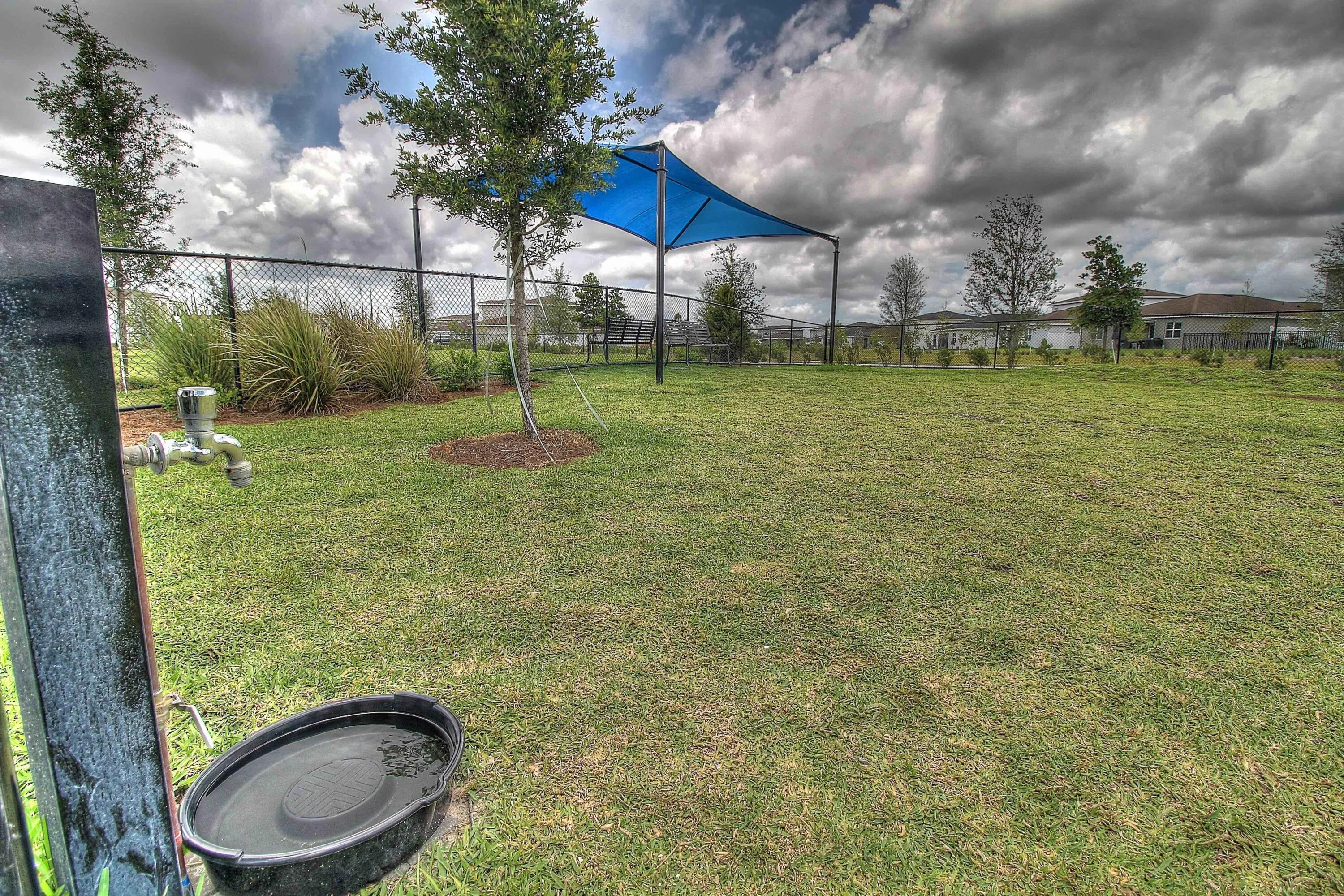 Dog Park