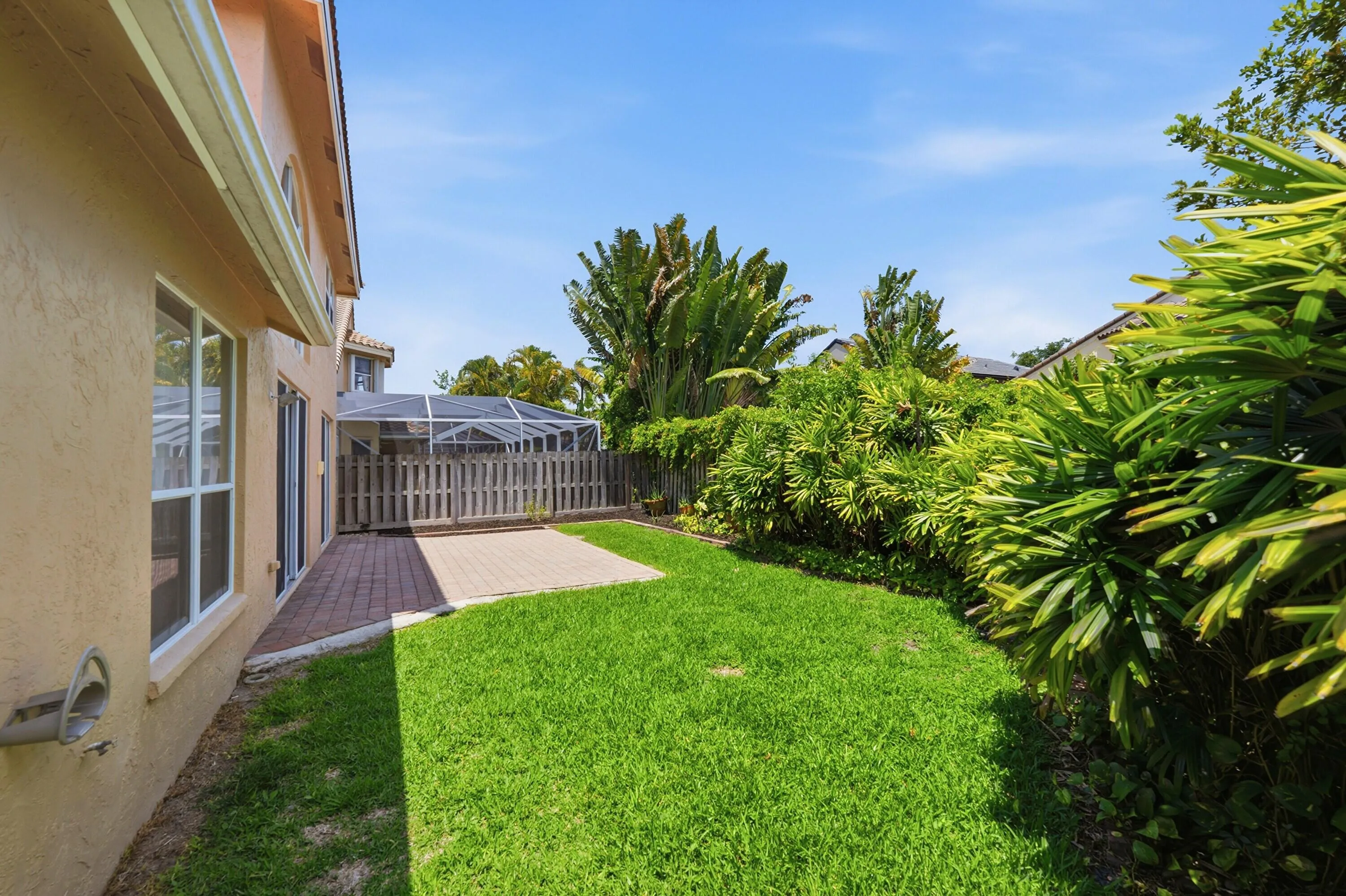 Backyard 1