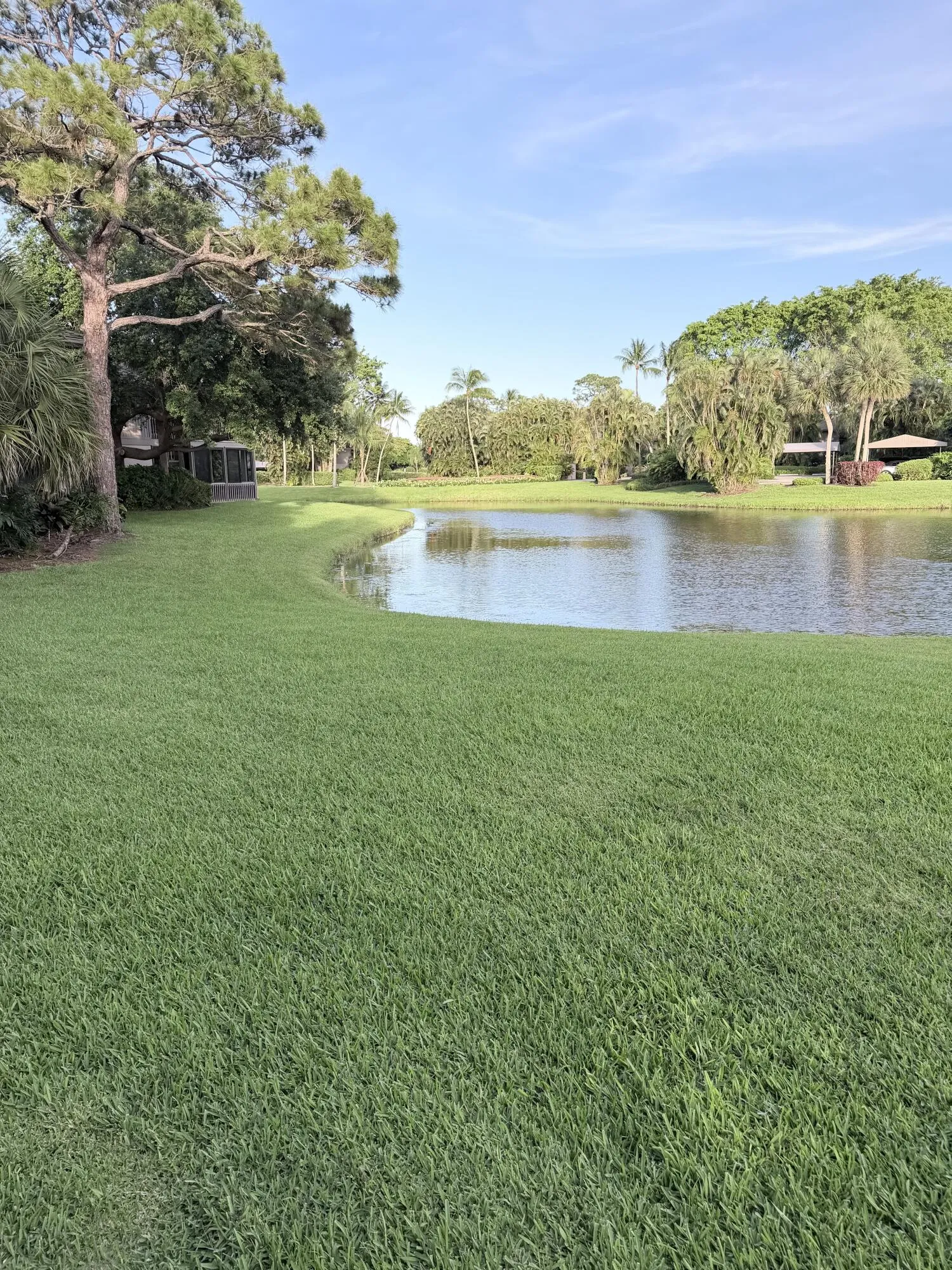 View From the Rear of the Property