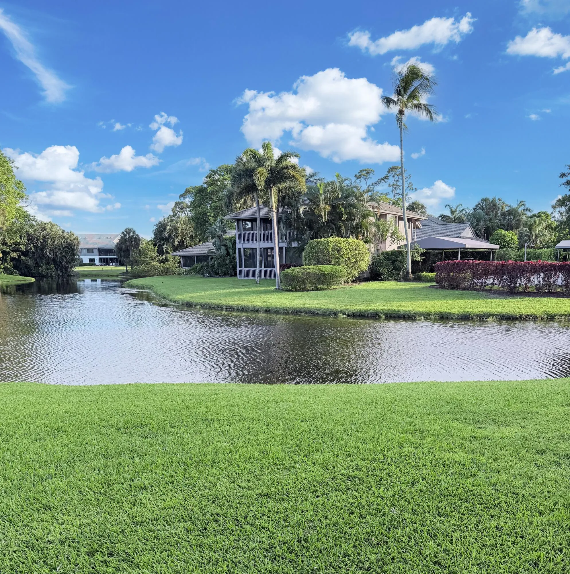 View From the Rear of the Property