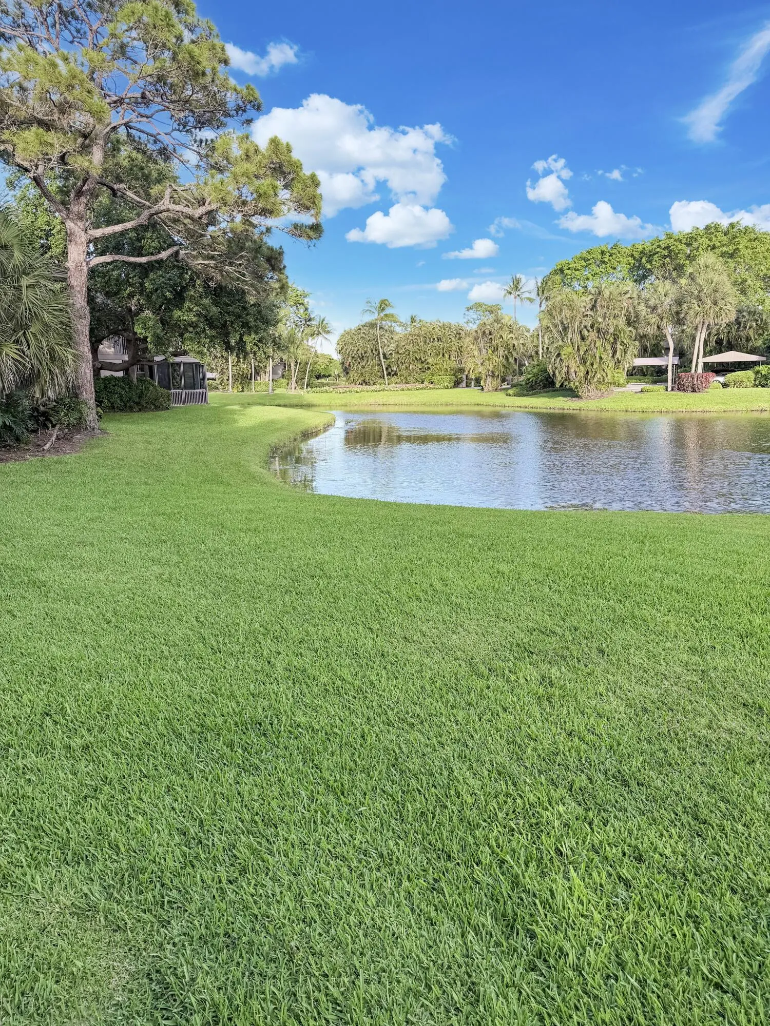 View From the Rear of the Property