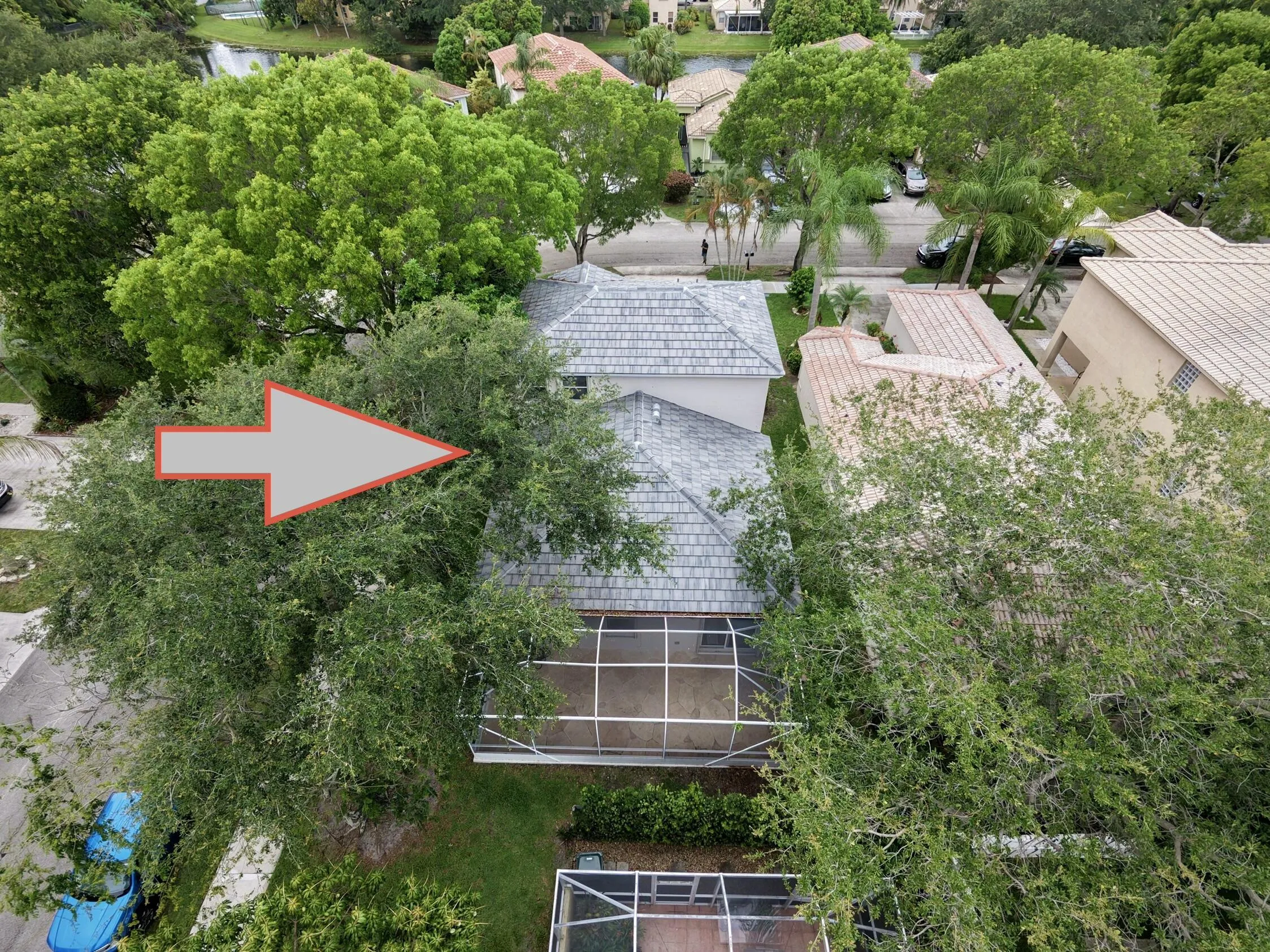 dji_fly_20260605_113014_0011_17806736636