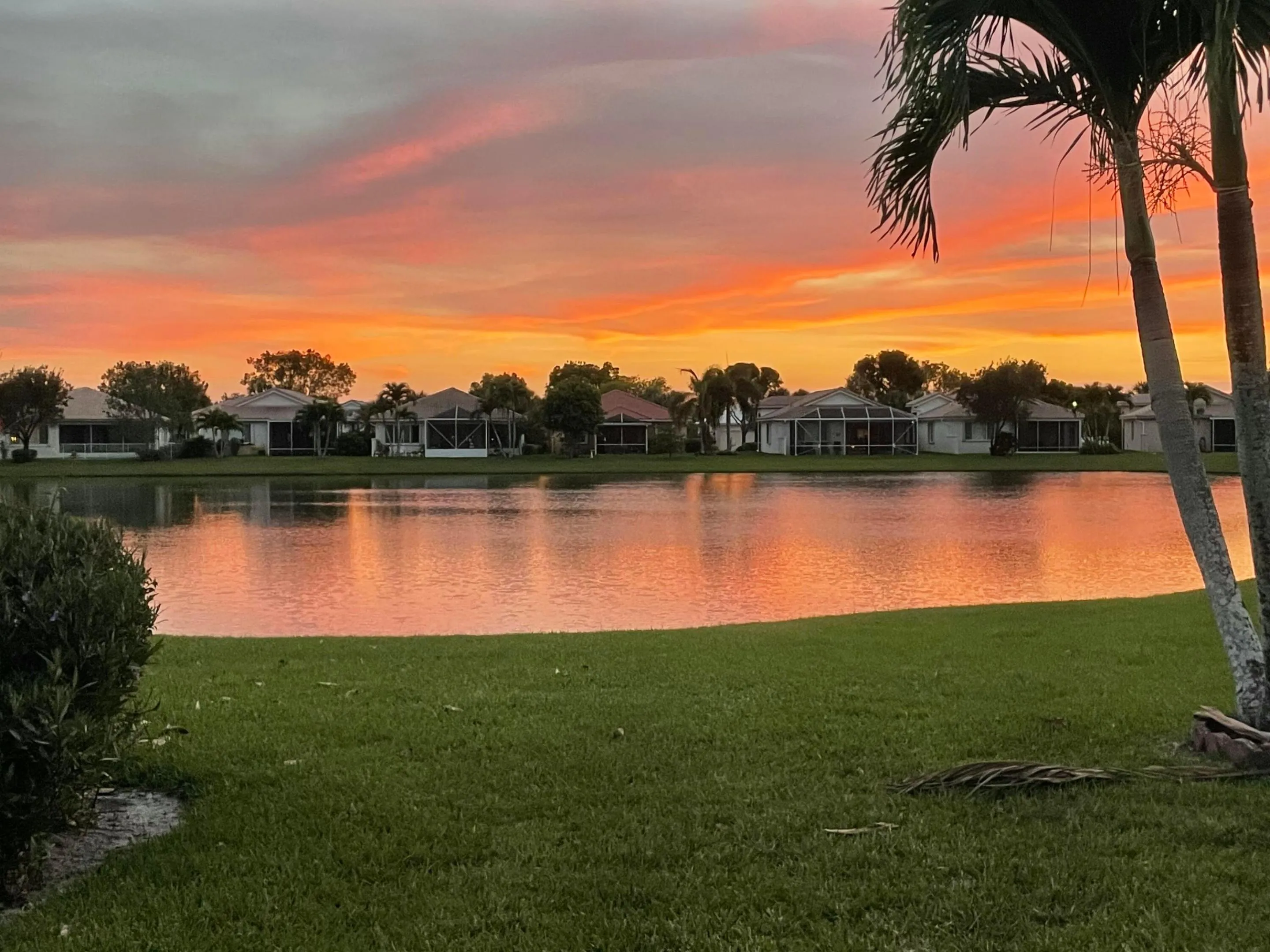 sunset view