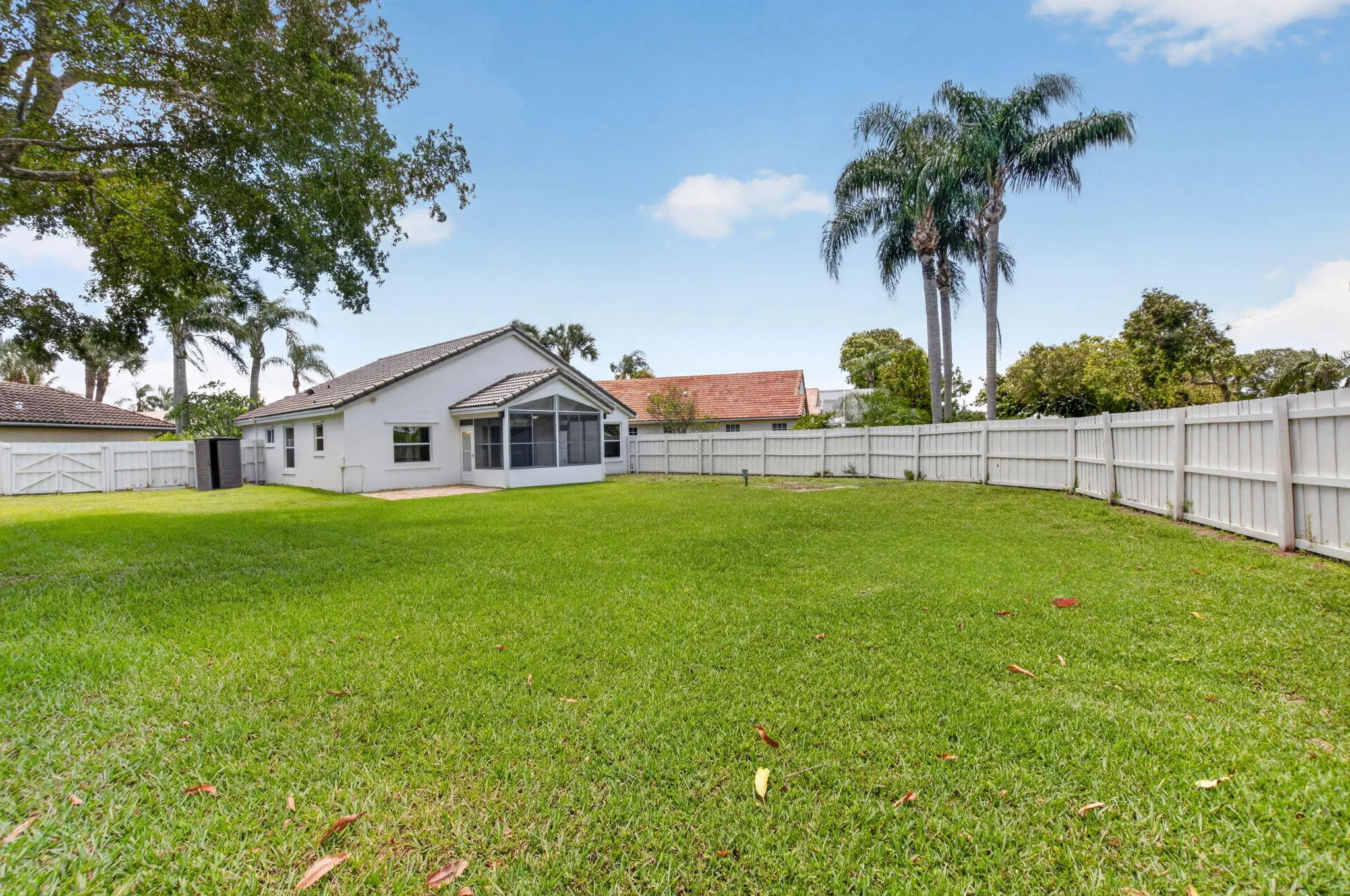 Backyard