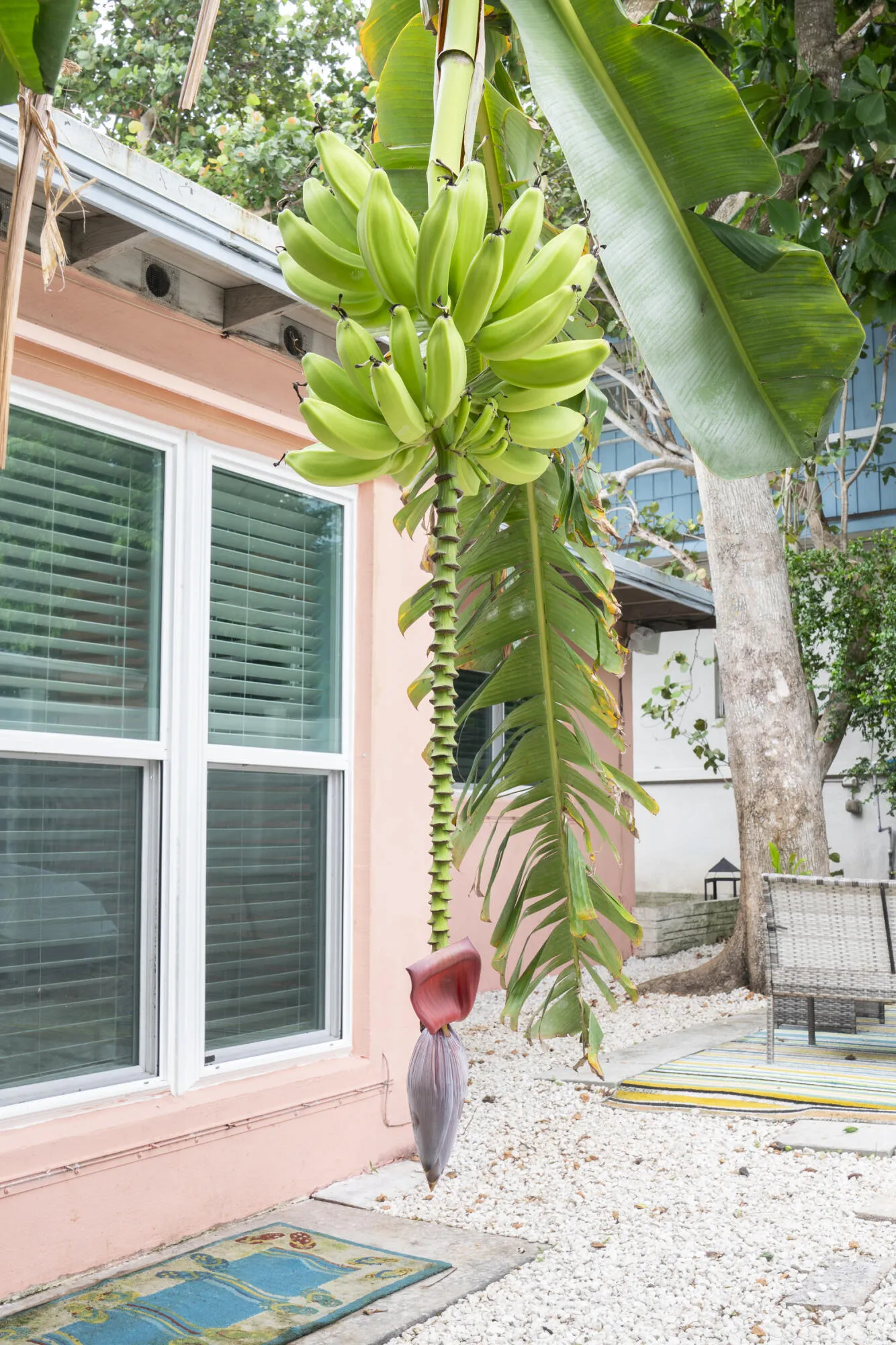 Property photo 33