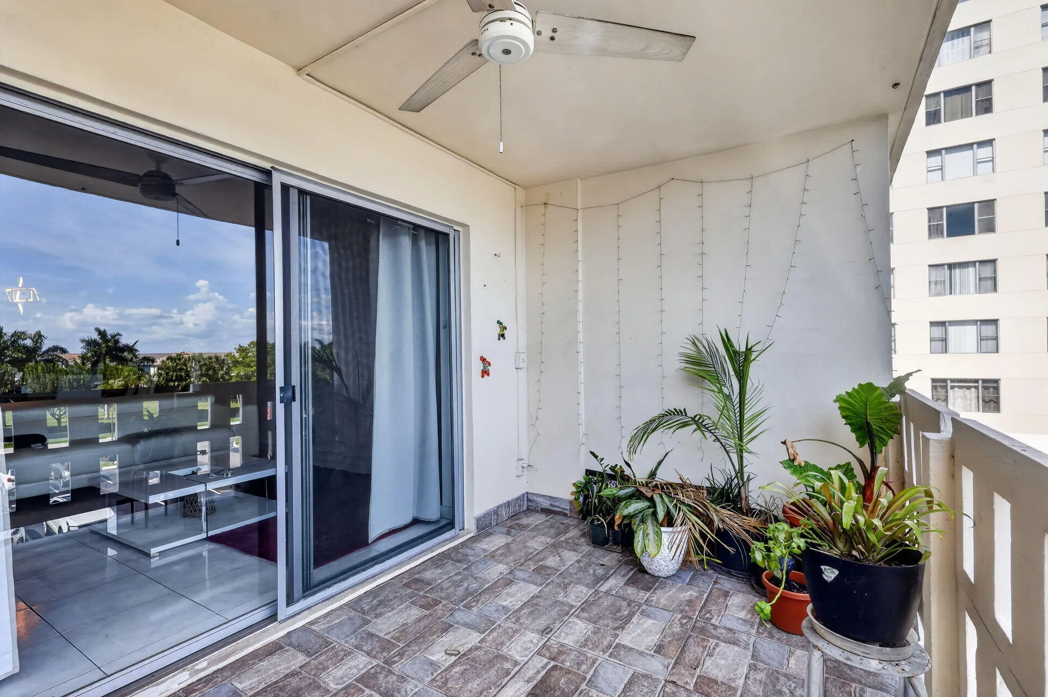 32-web-or-mls-8H3A8209