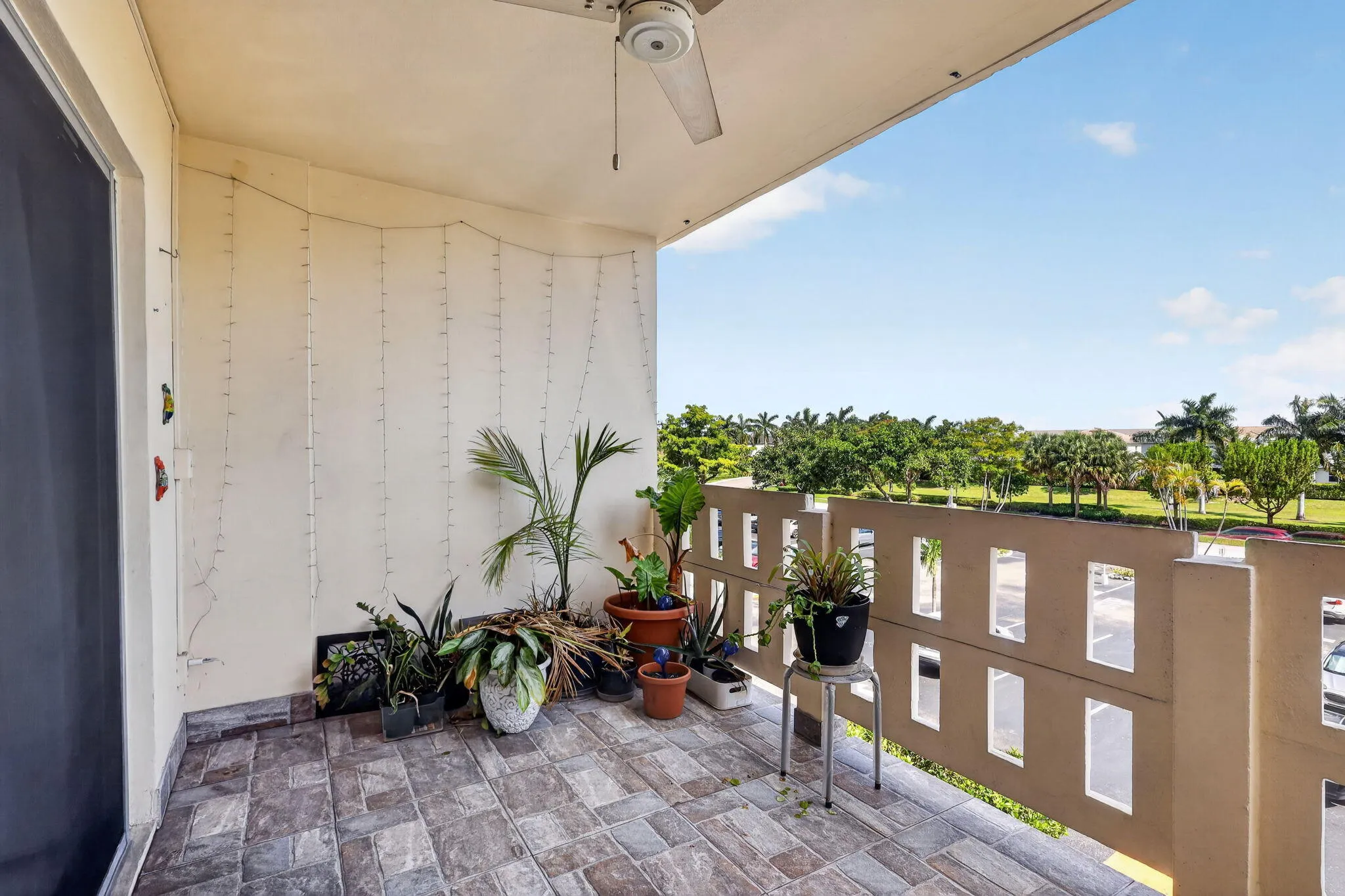 31-web-or-mls-8H3A8204