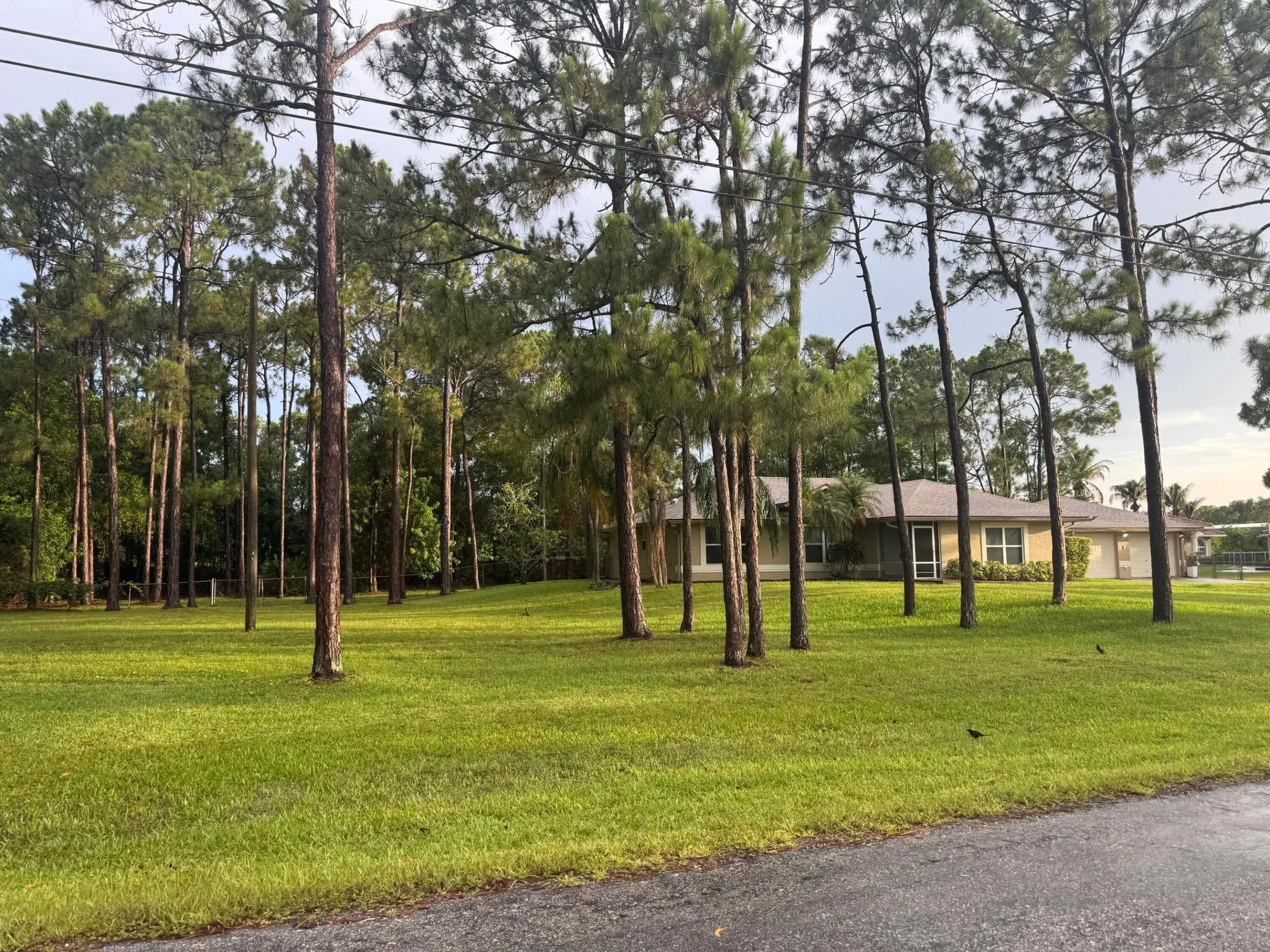 Large oversized treed and fully fenced lot.