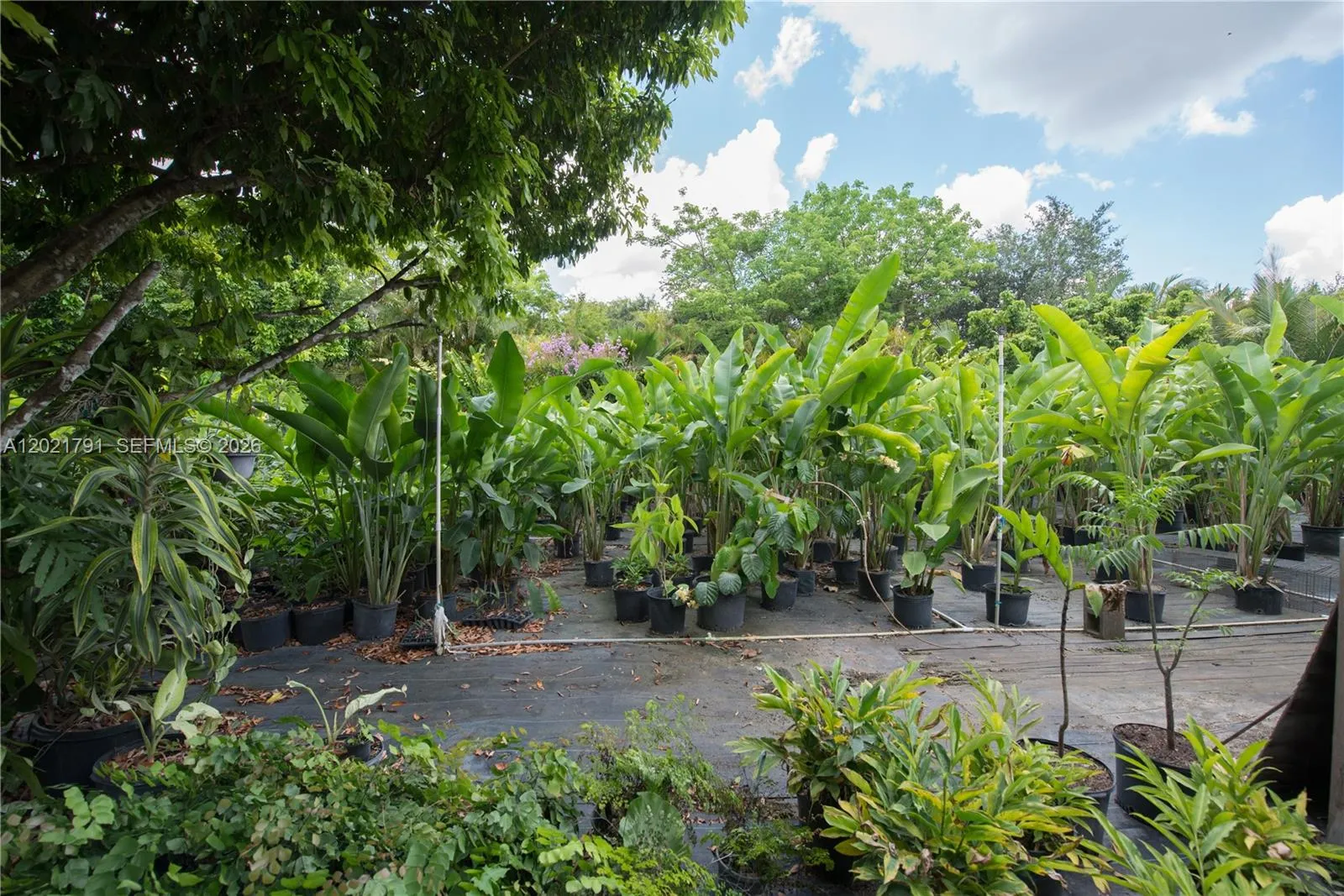 Property photo 46