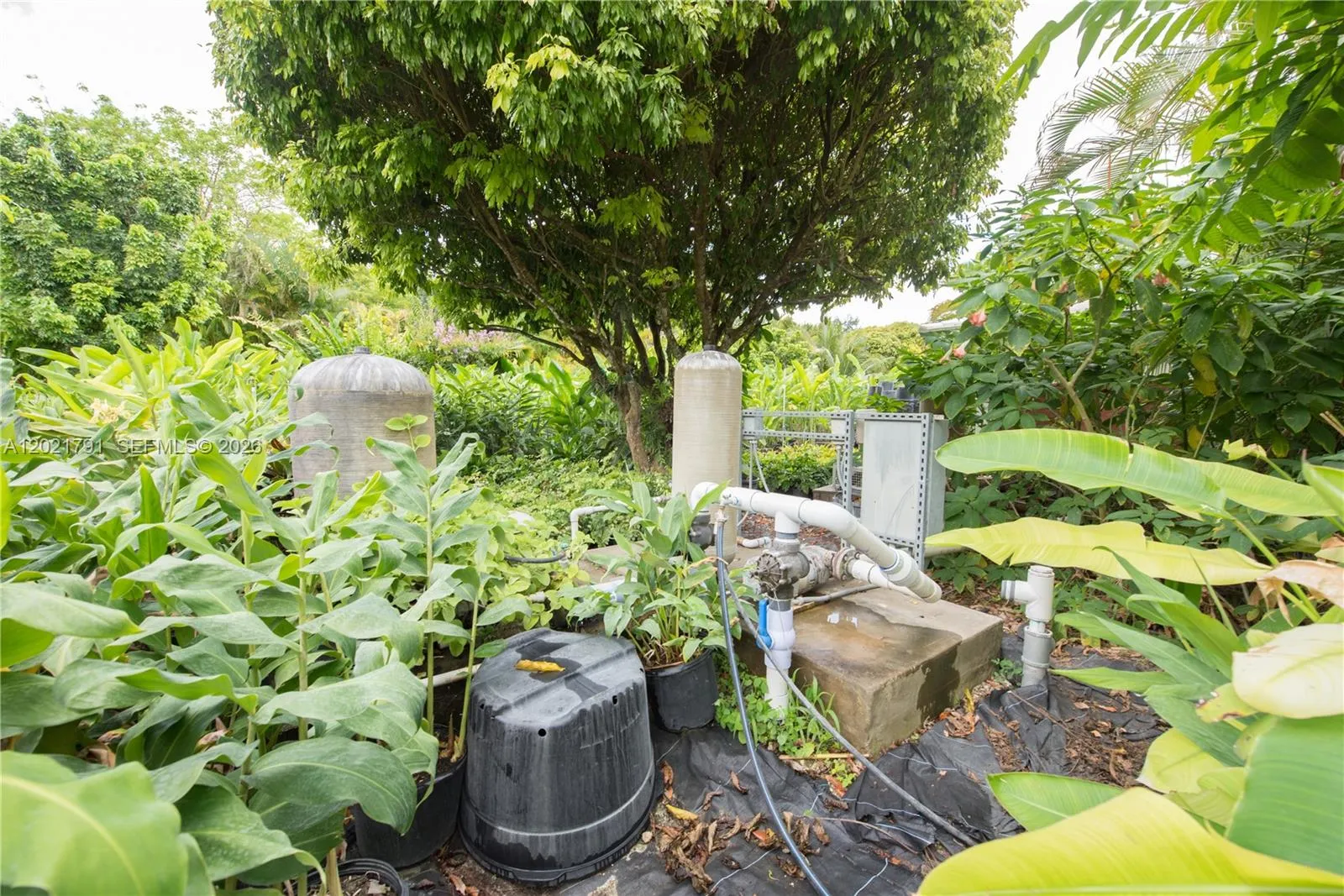 Property photo 44
