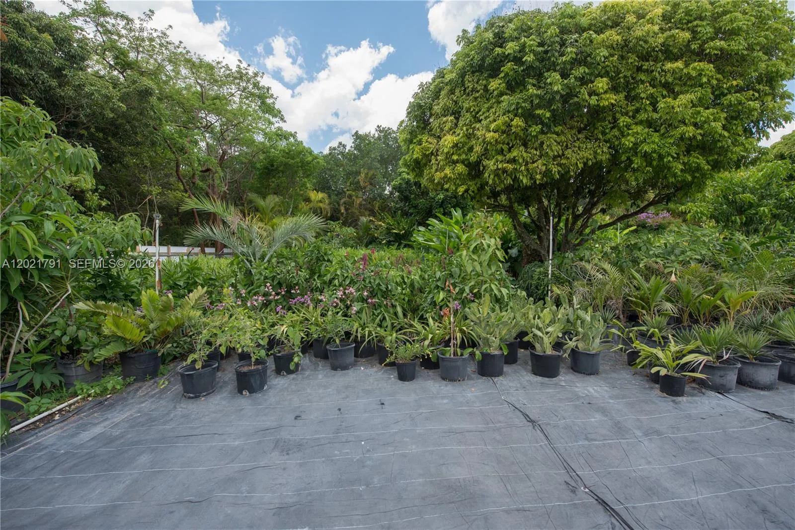 Property photo 43